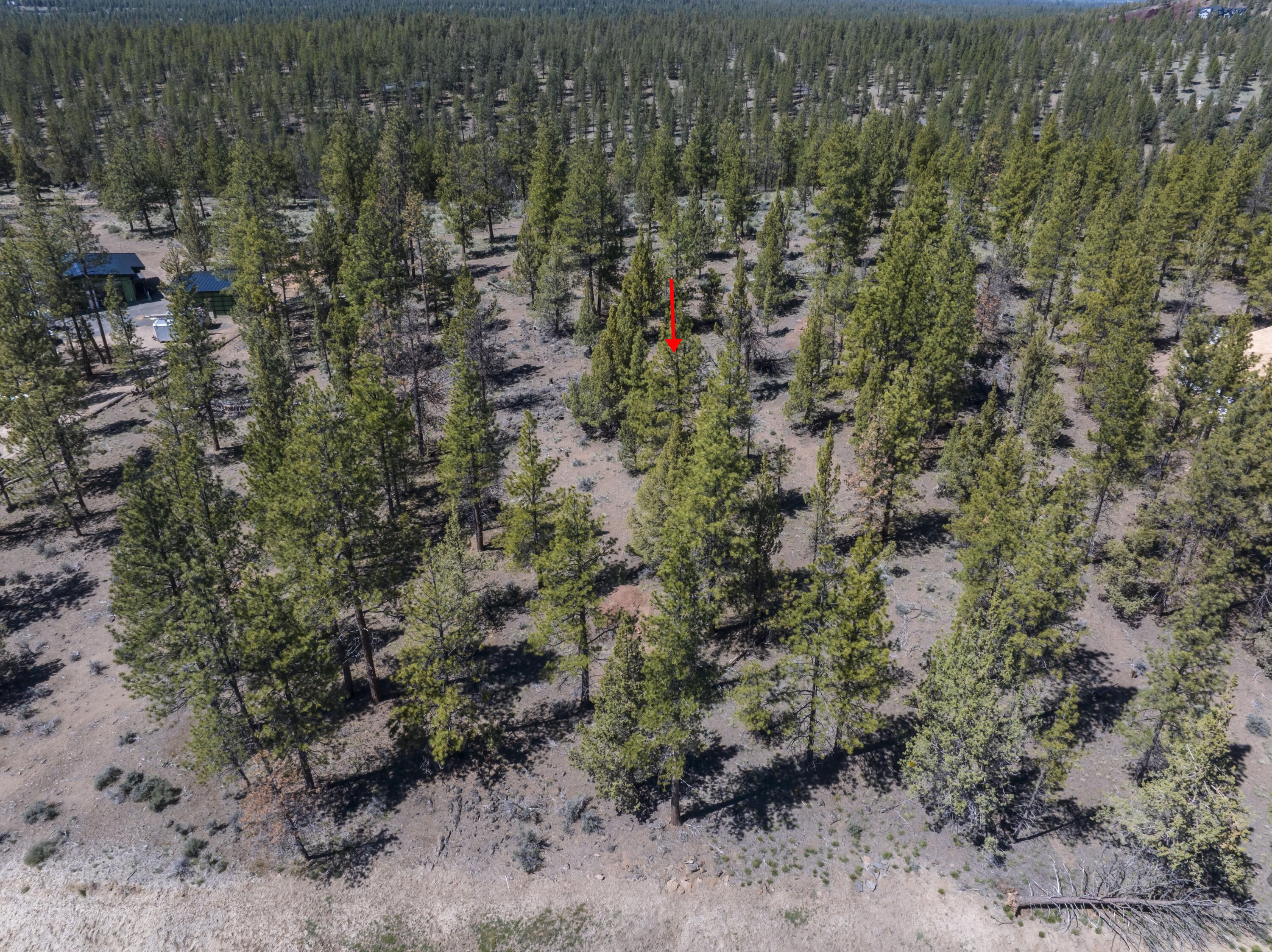 62947 Levins Lane