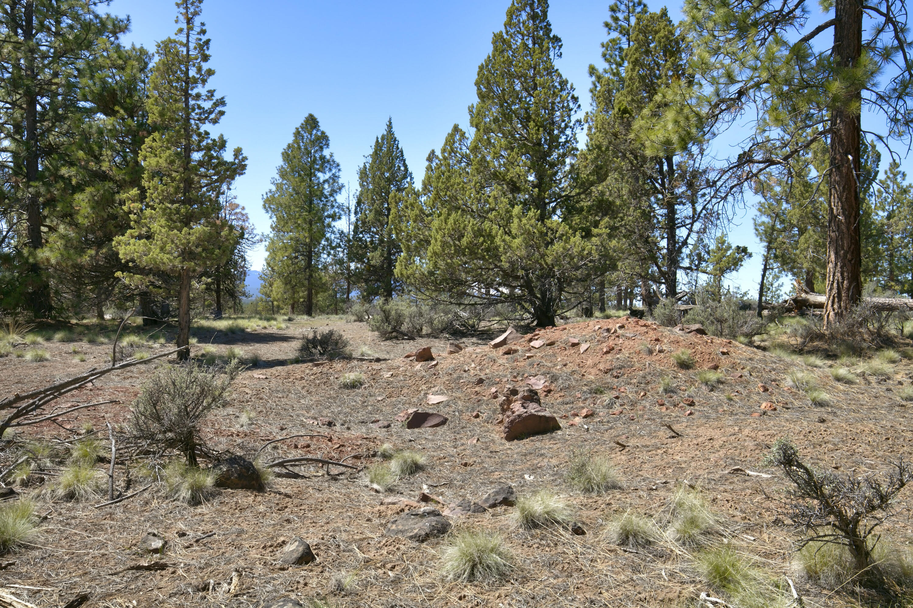62947 Levins Lane
