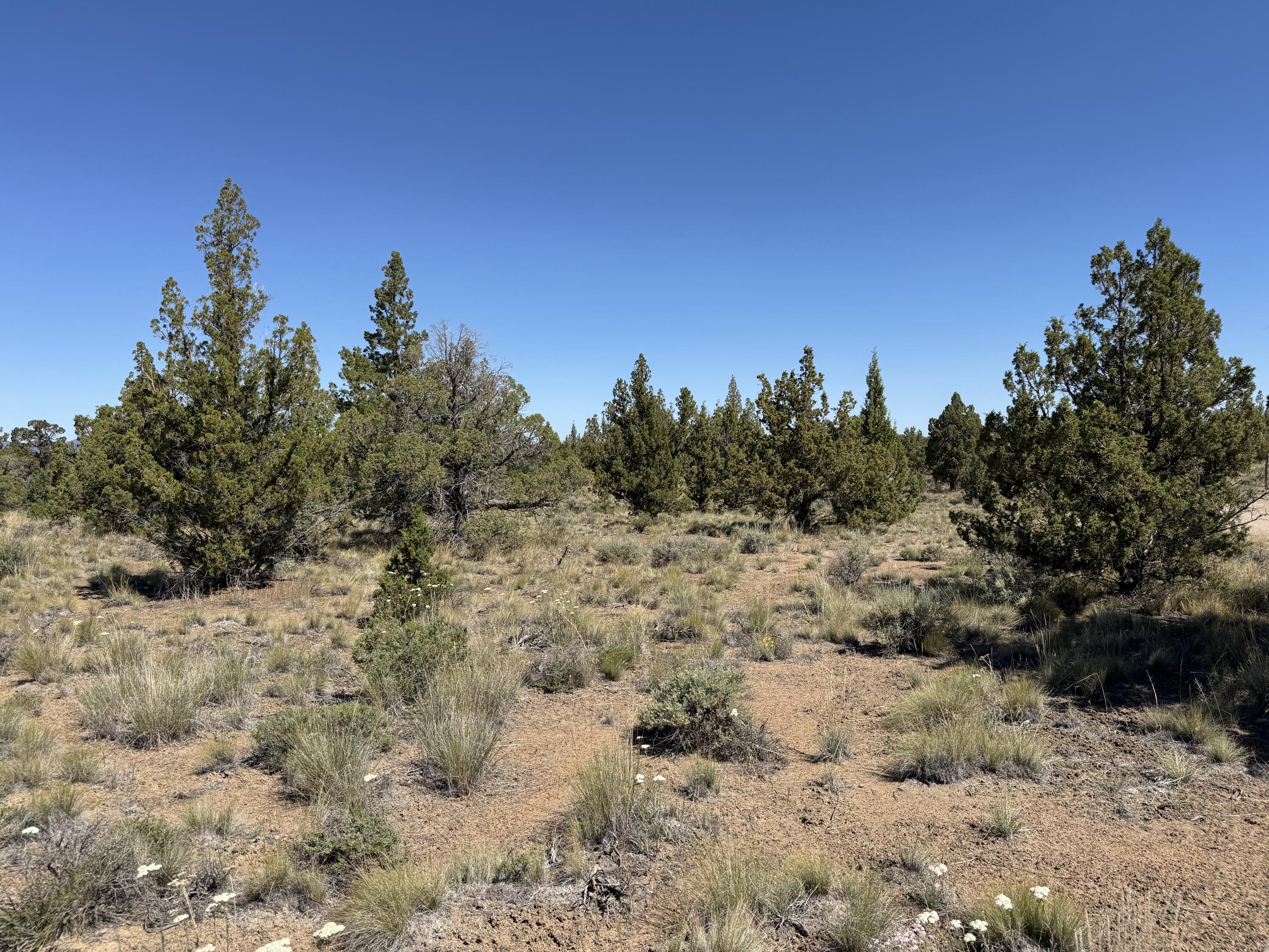 Tumalo Way SE, 13