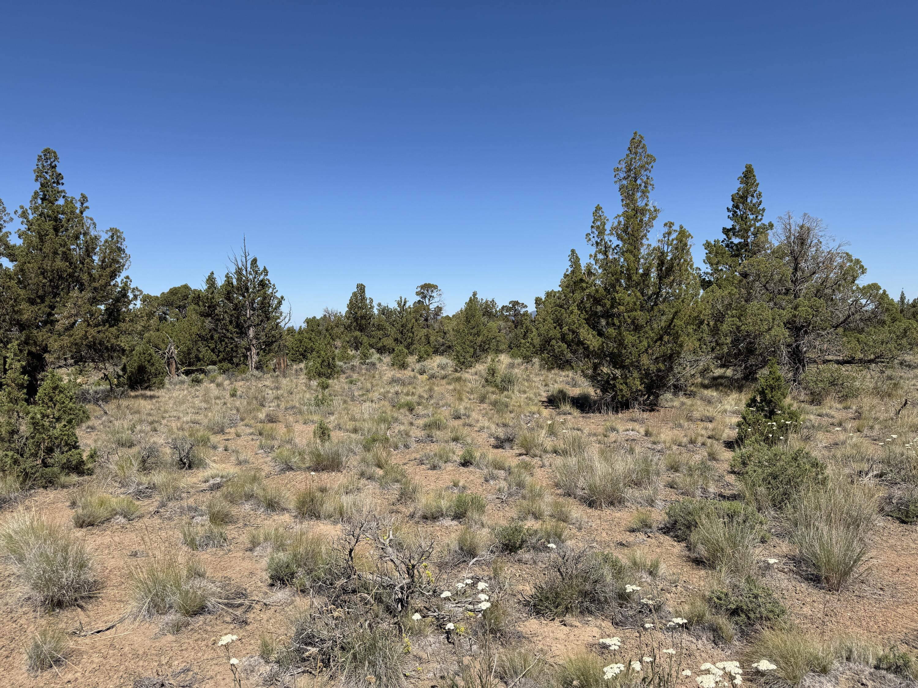 Tumalo Way SE, 13