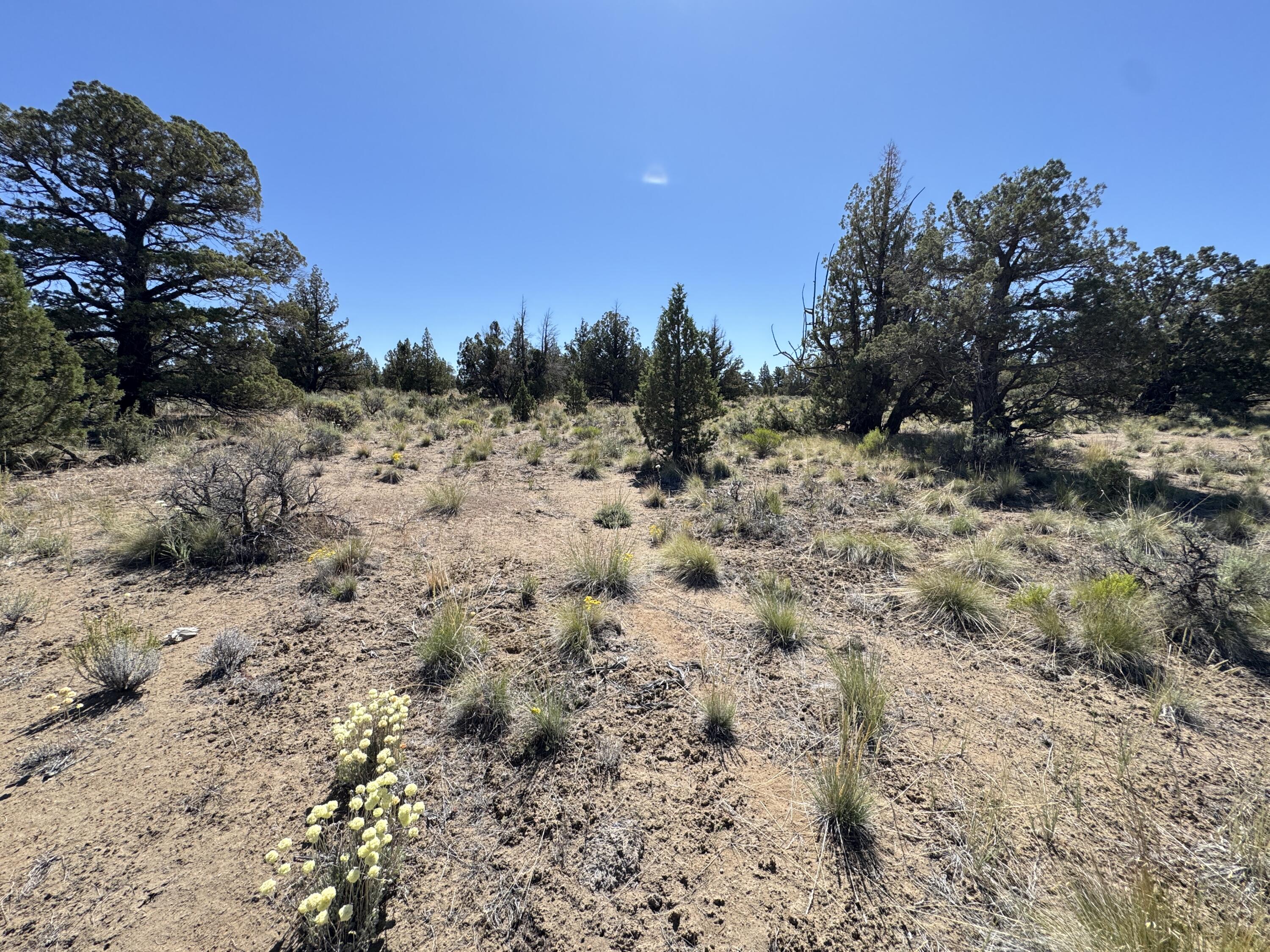 Tumalo Way SE, 13
