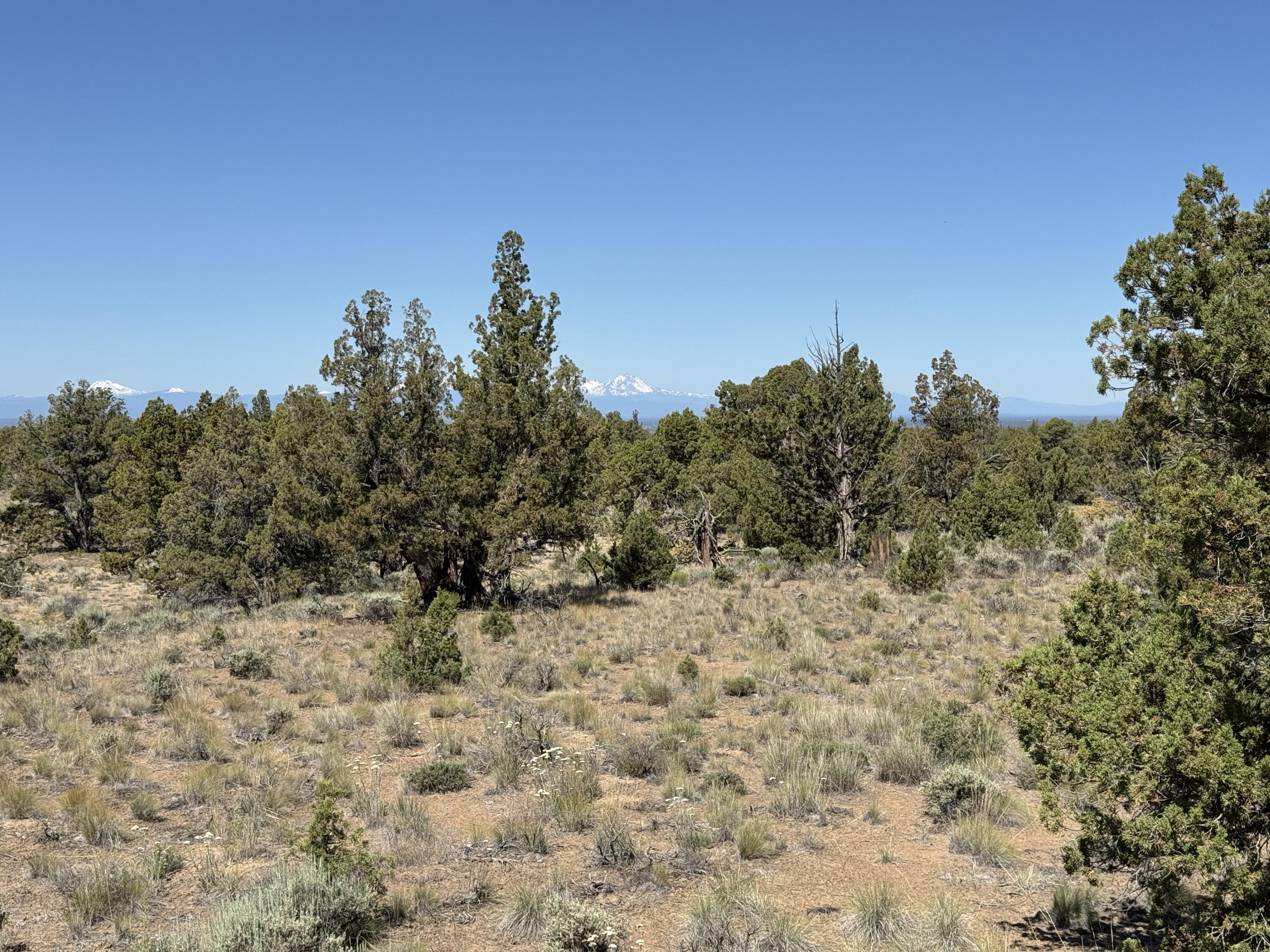 Tumalo Way SE, 13