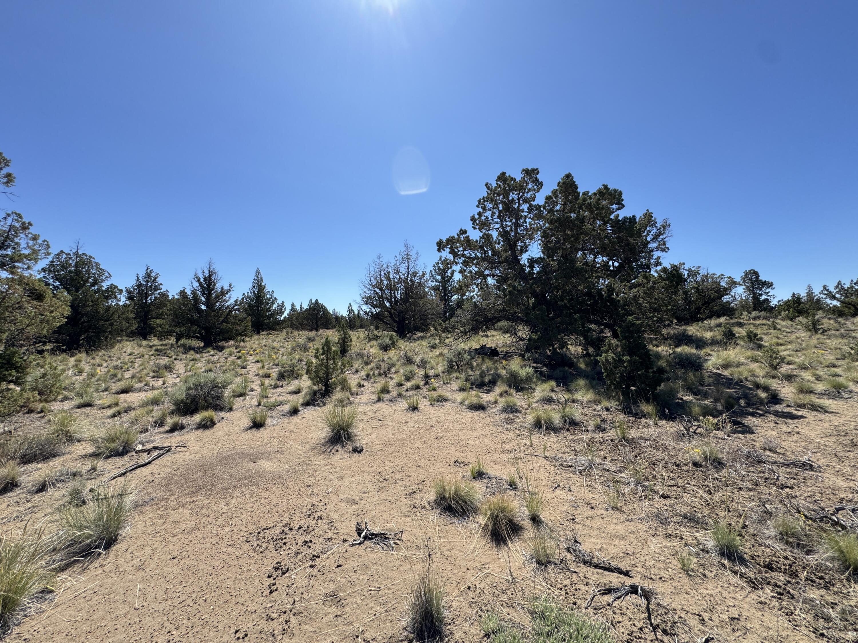 Tumalo Way SE, 13