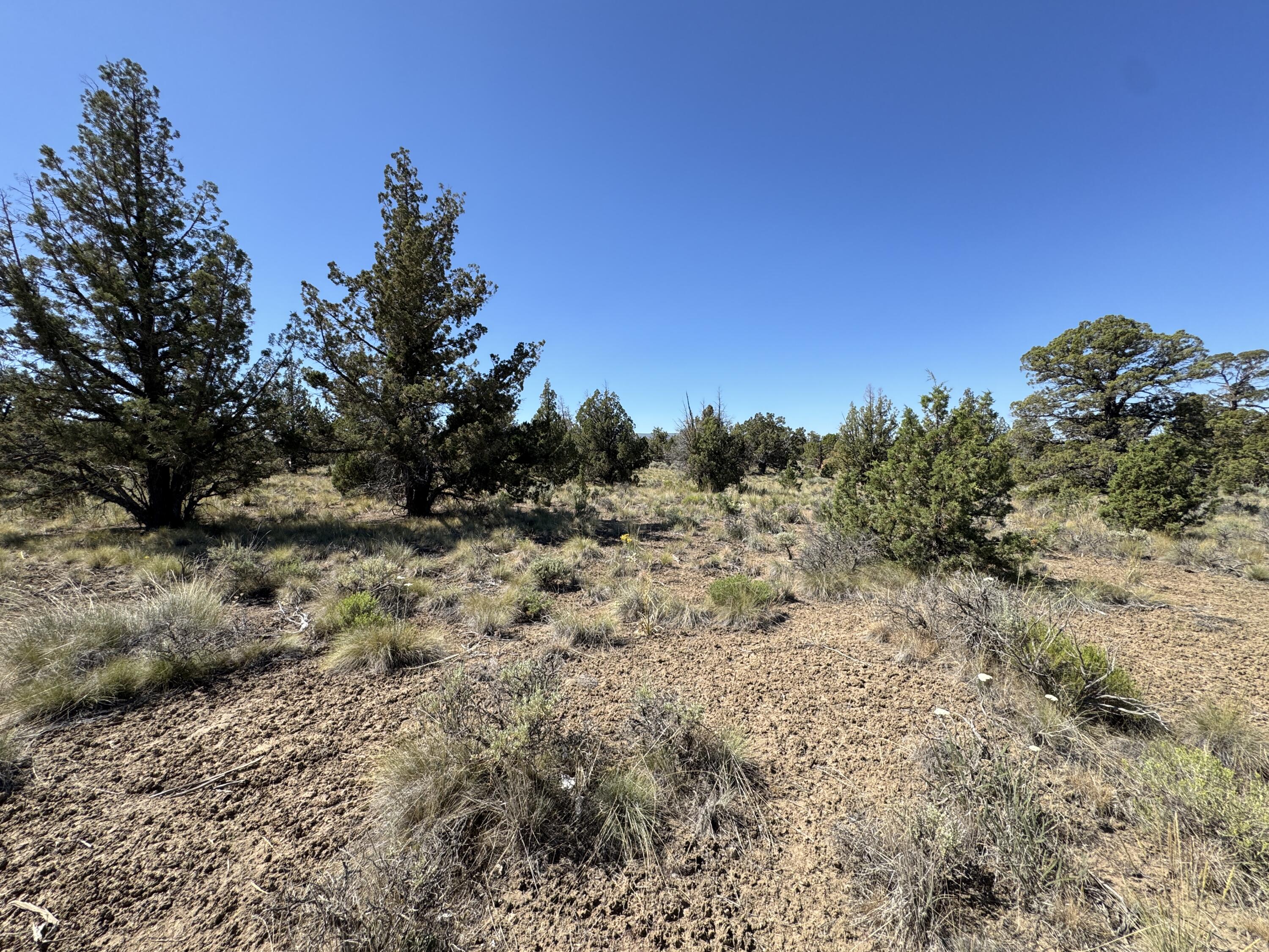 Tumalo Way SE, 13