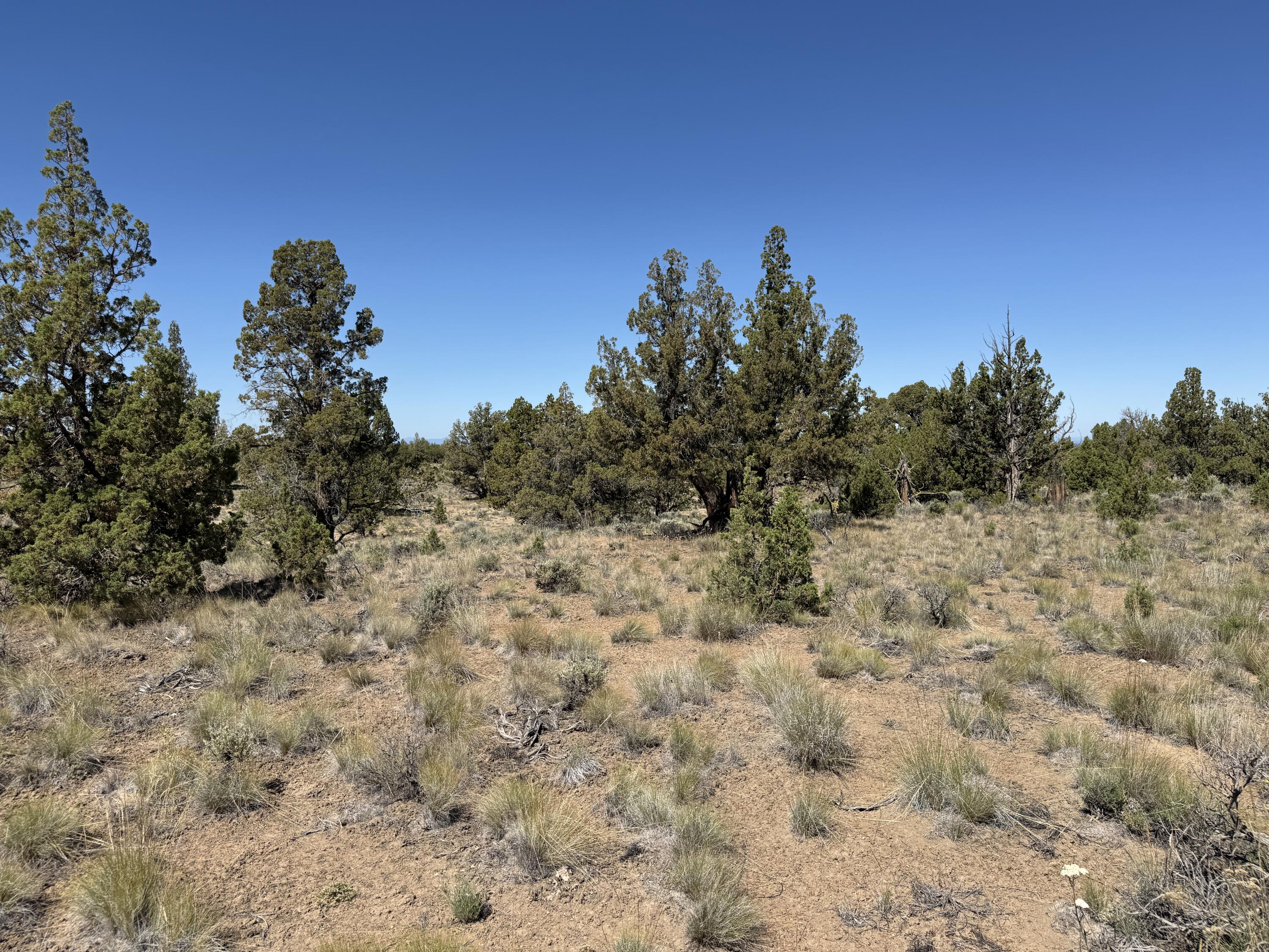 Tumalo Way SE, 13