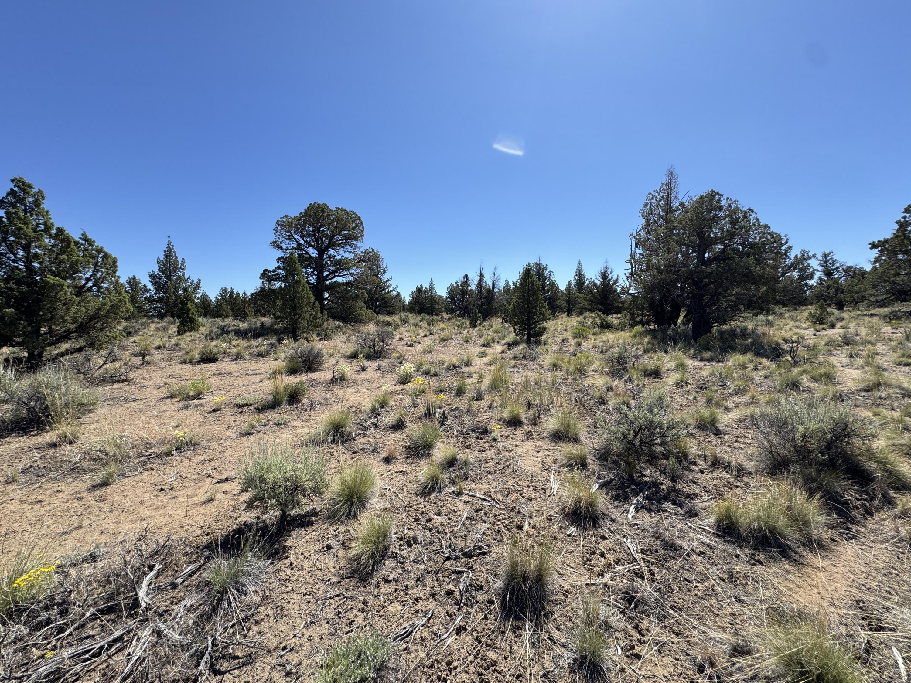 Tumalo Way SE, 13
