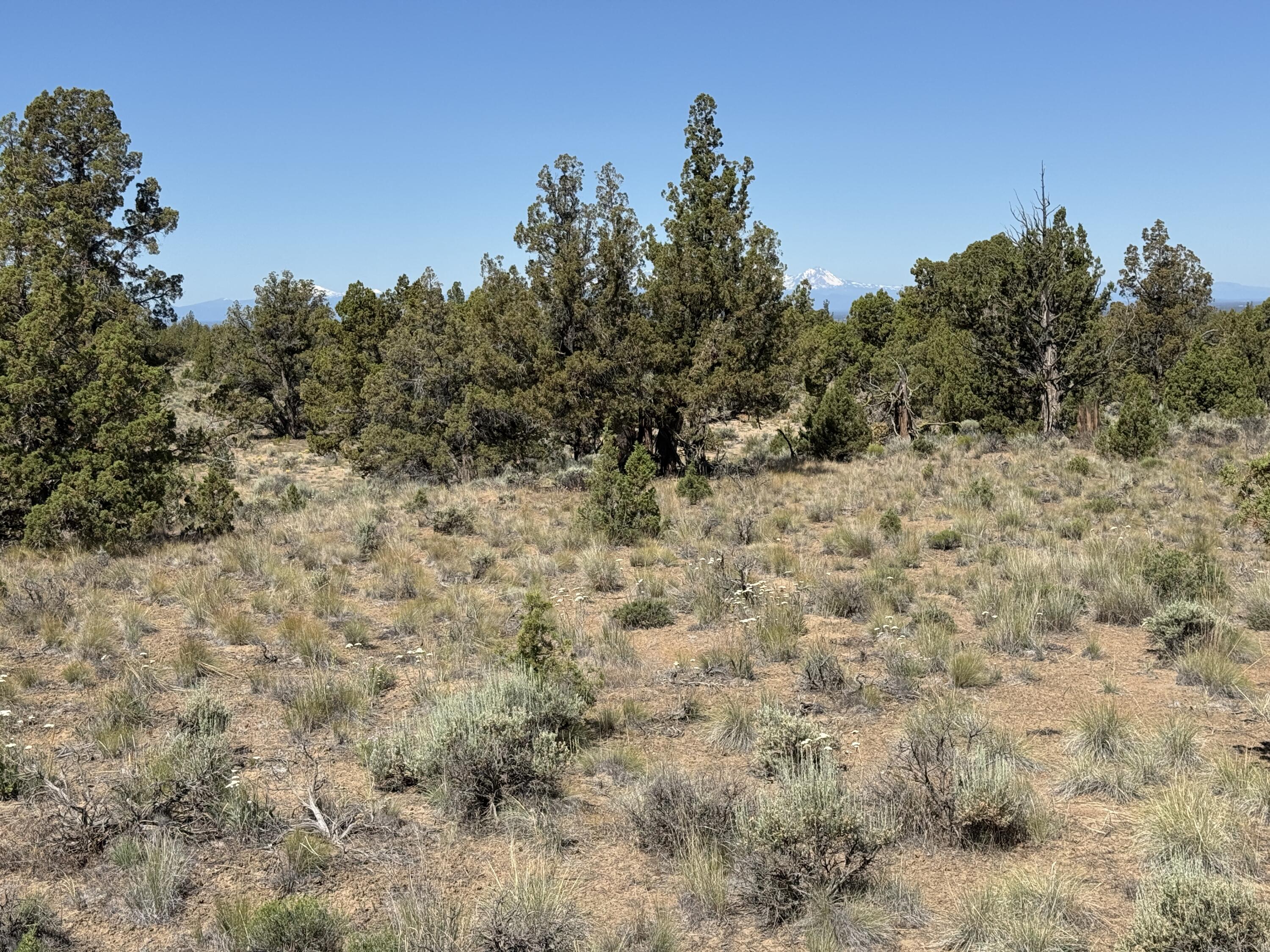 Tumalo Way SE, 13