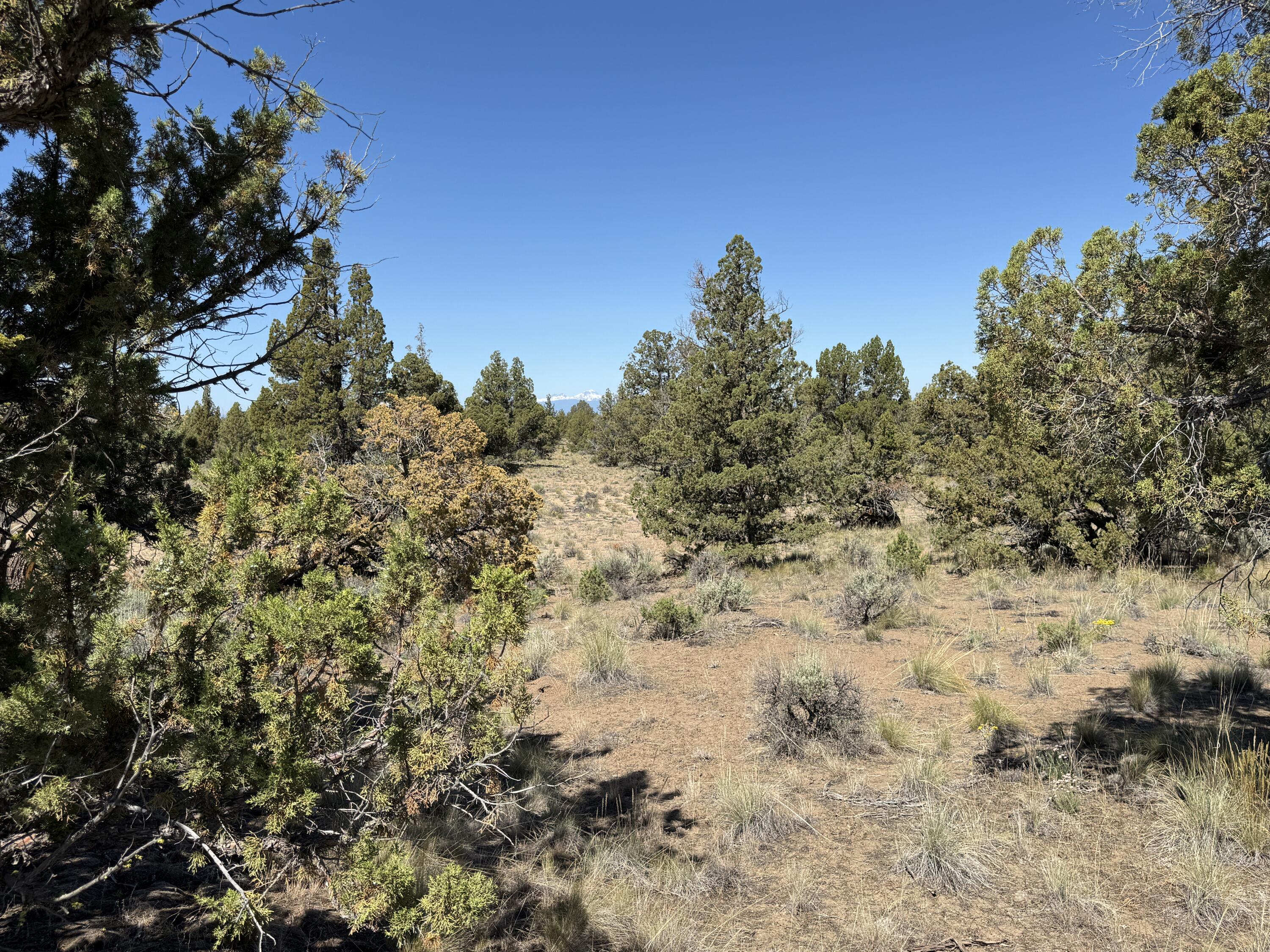 Tumalo Way SE, 13