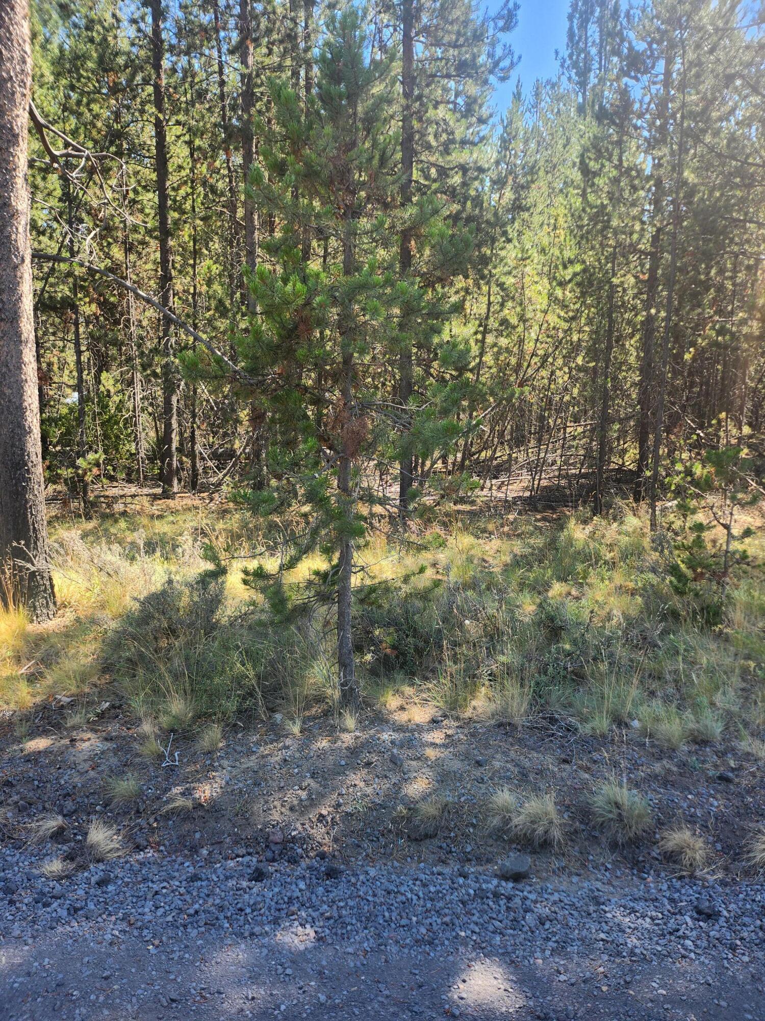 17257 Downey Road, 4