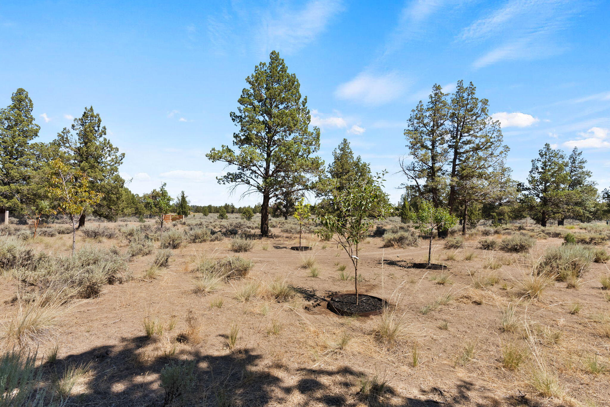 6623 NW Tetherow Road