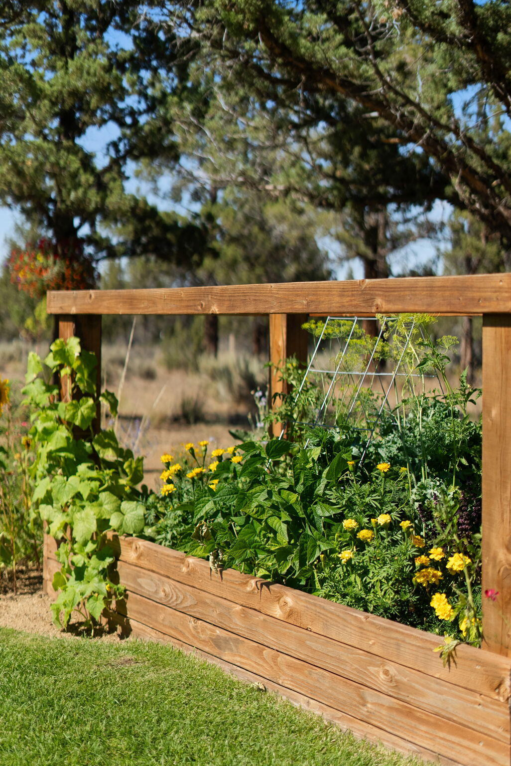 6623 NW Tetherow Road