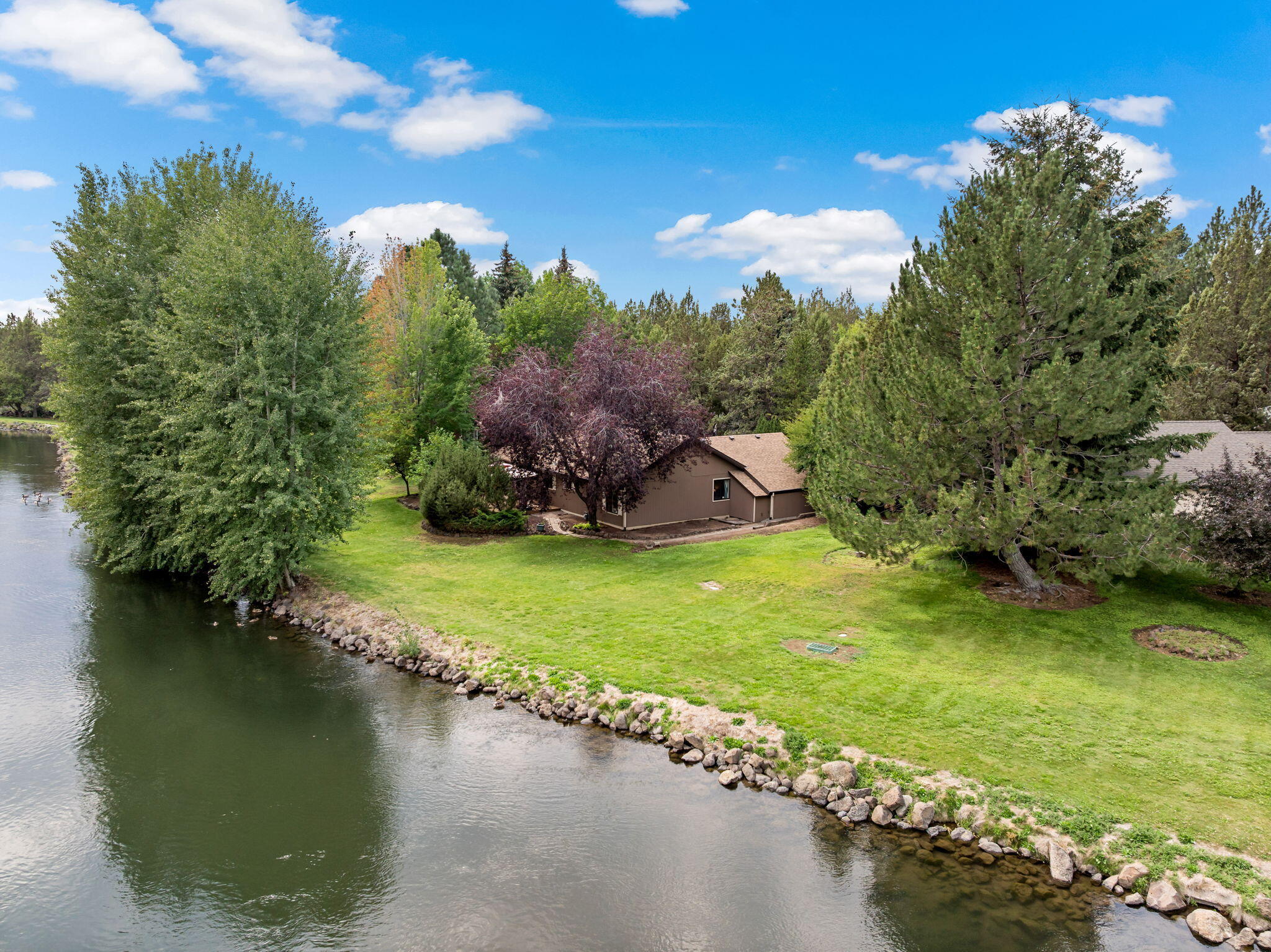 20753 Will Scarlet Lane