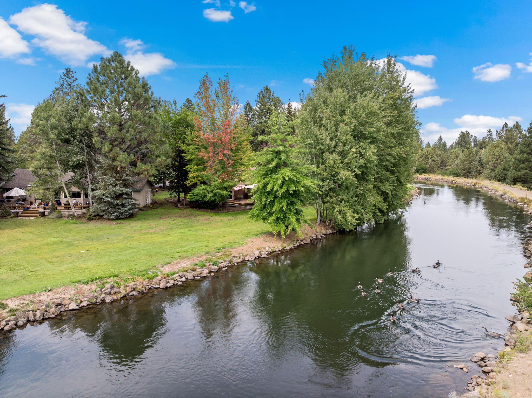 20753 Will Scarlet Lane