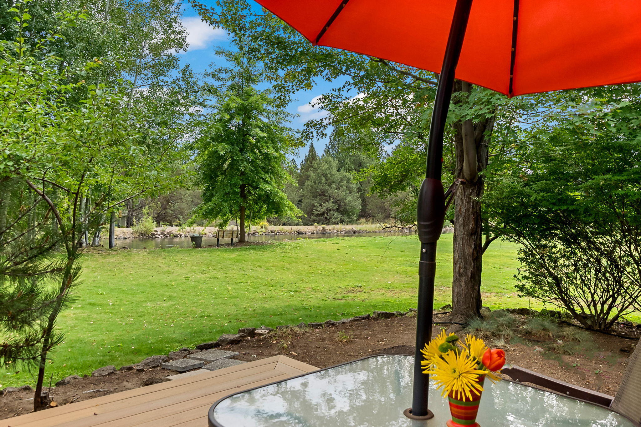 20753 Will Scarlet Lane