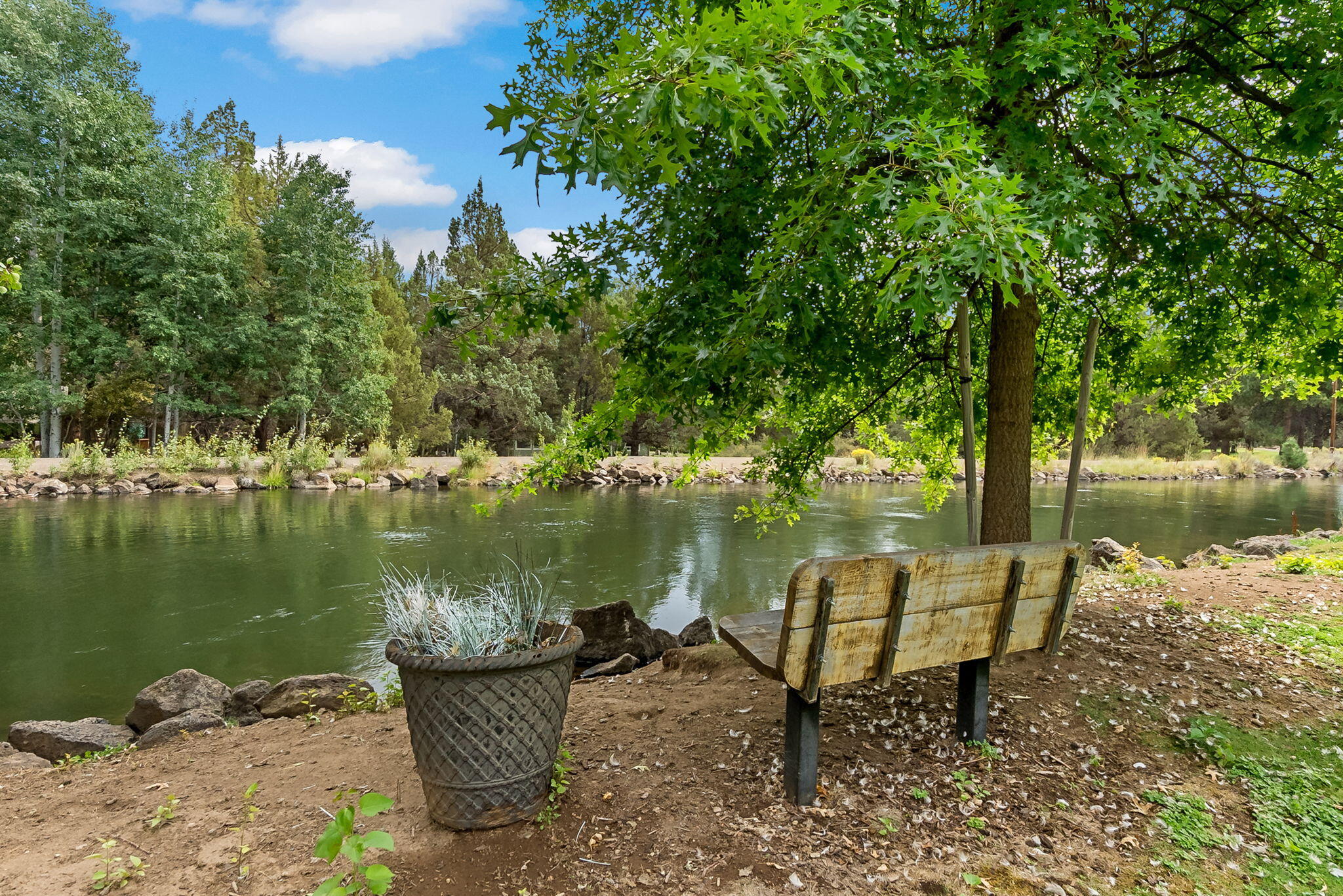 20753 Will Scarlet Lane