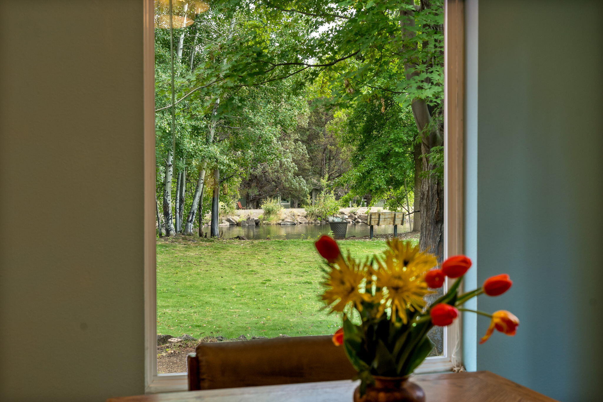 20753 Will Scarlet Lane