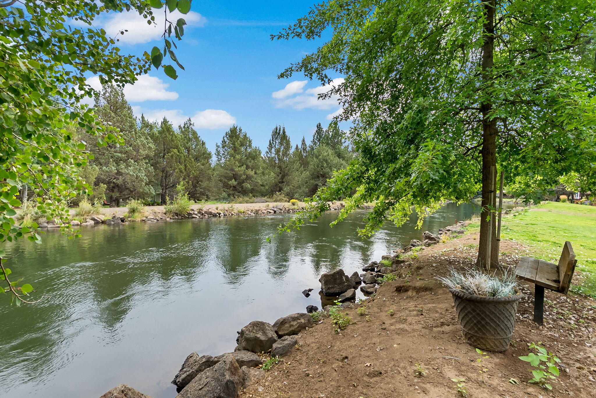 20753 Will Scarlet Lane