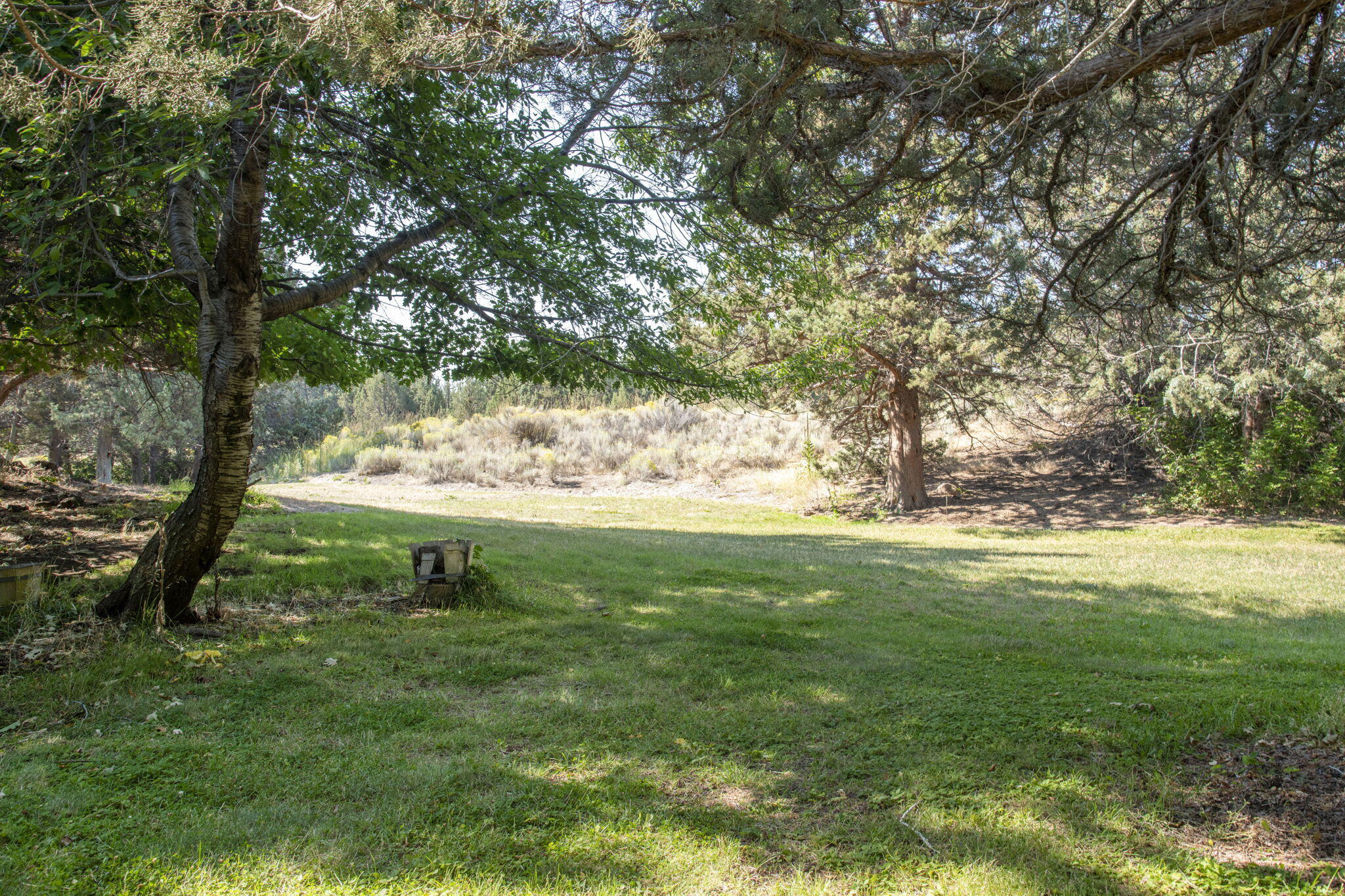 20749 Canterbury Court