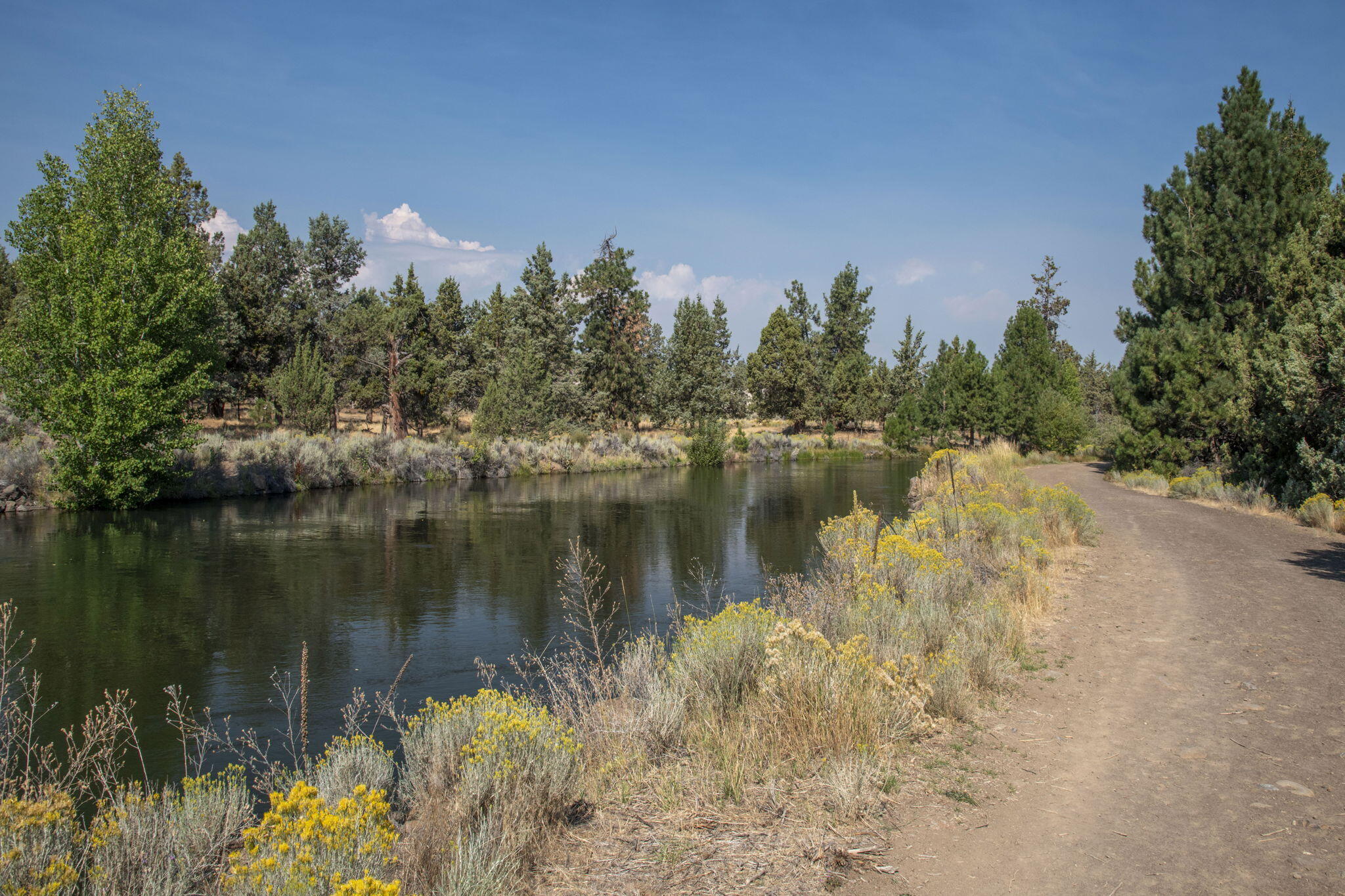 20749 Canterbury Court