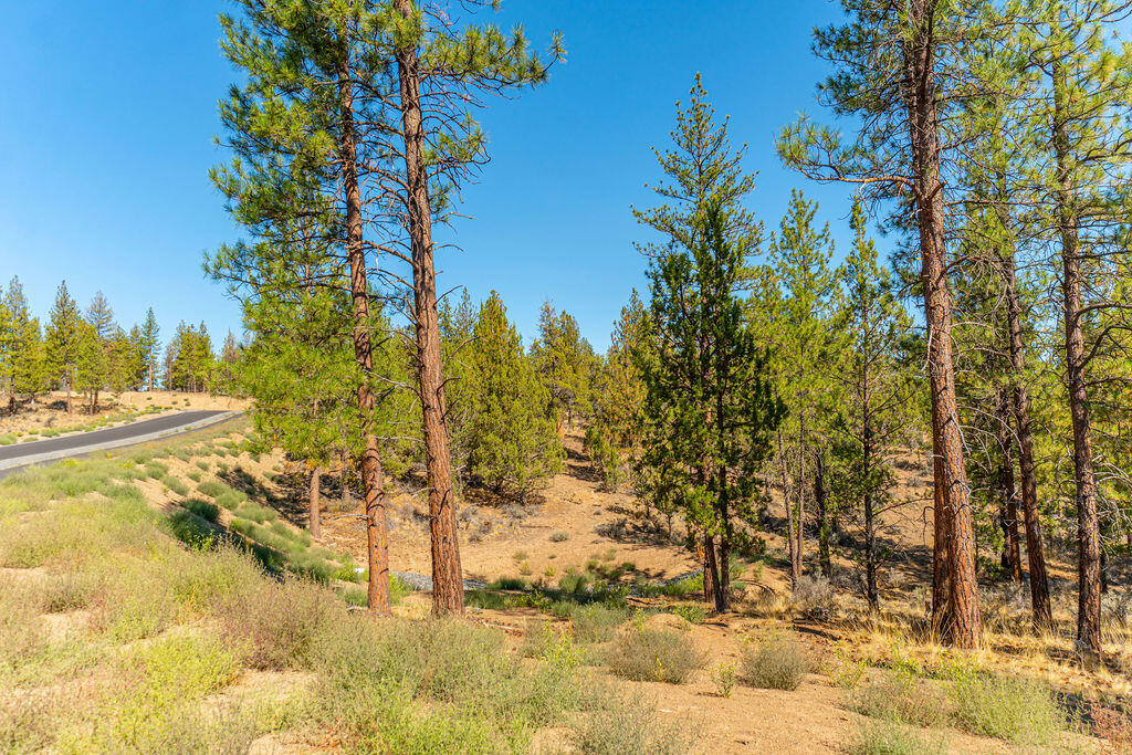 Lot 10, Skyline Ranch, Phase 2
