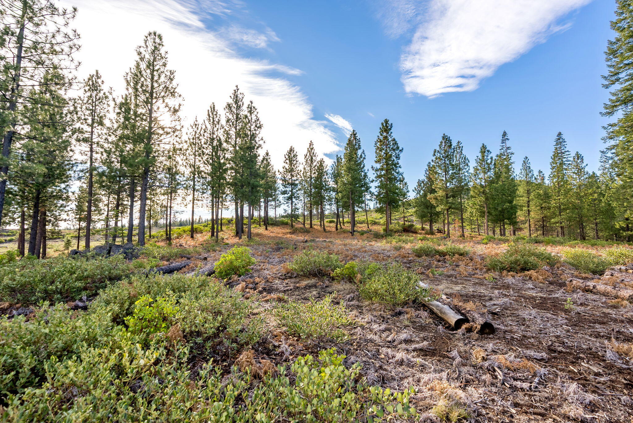 70410 McAllister Road, 2060