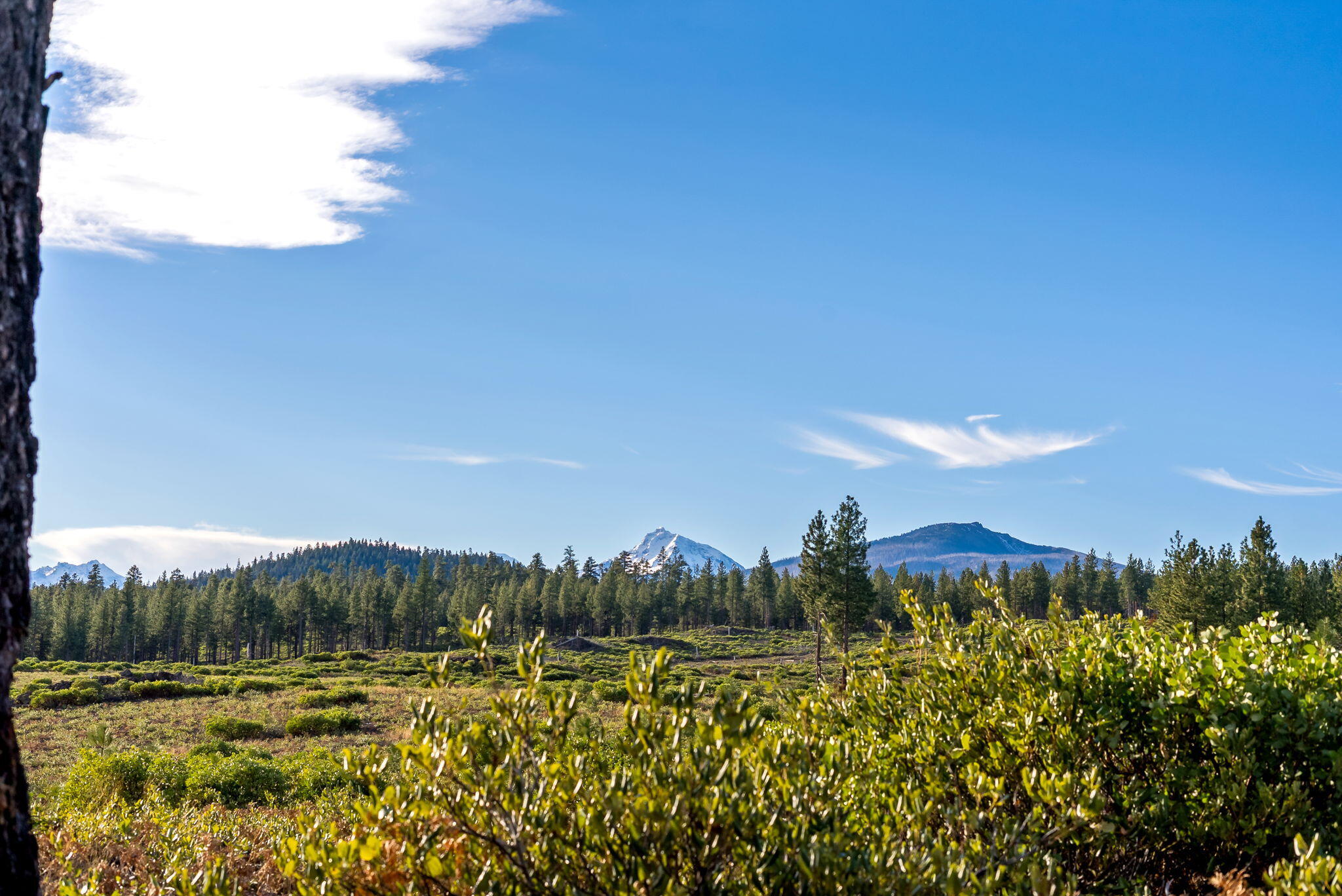 70410 McAllister Road, 2060