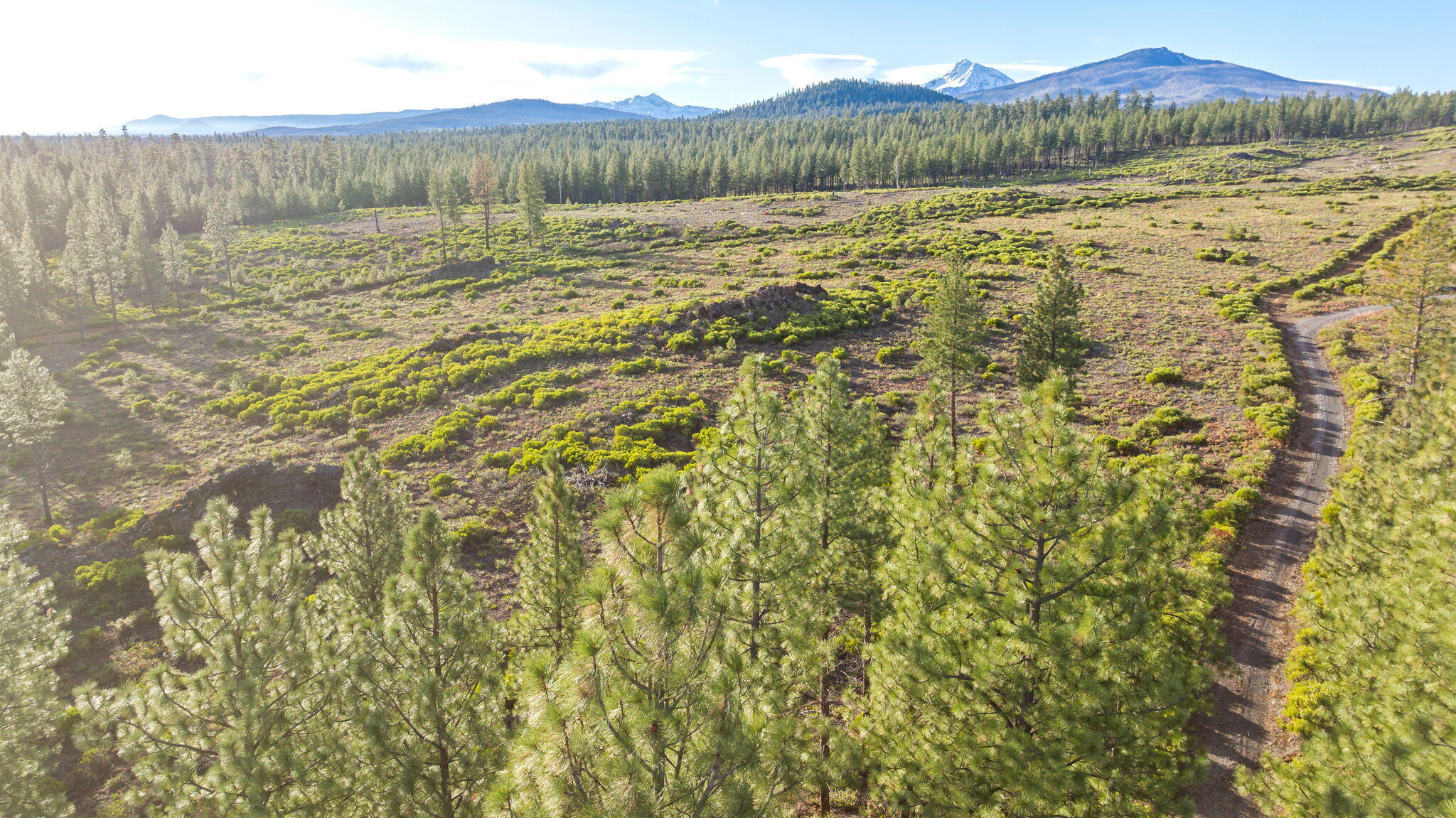 70410 McAllister Road, 2060