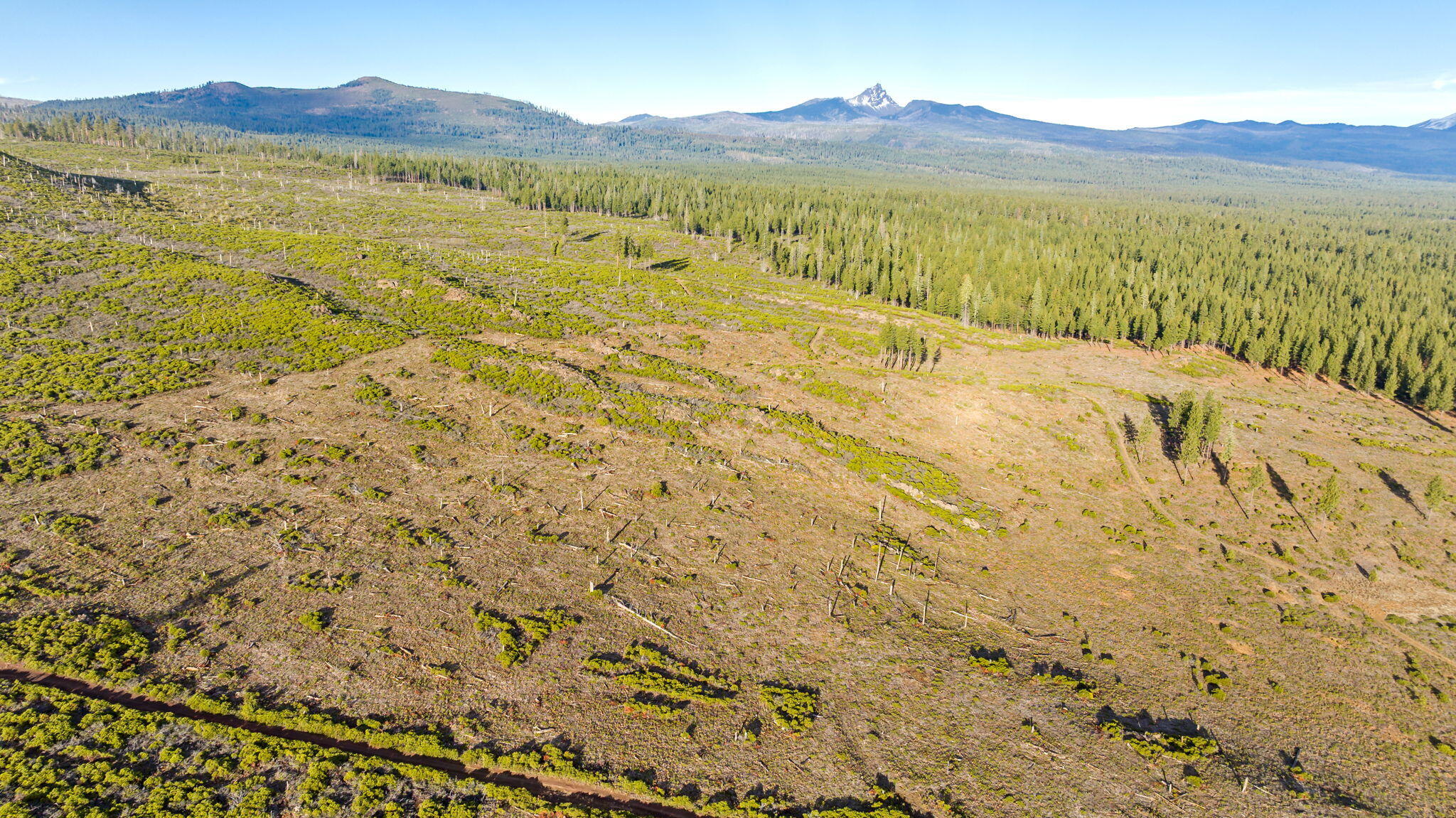 70410 McAllister Road, 2060