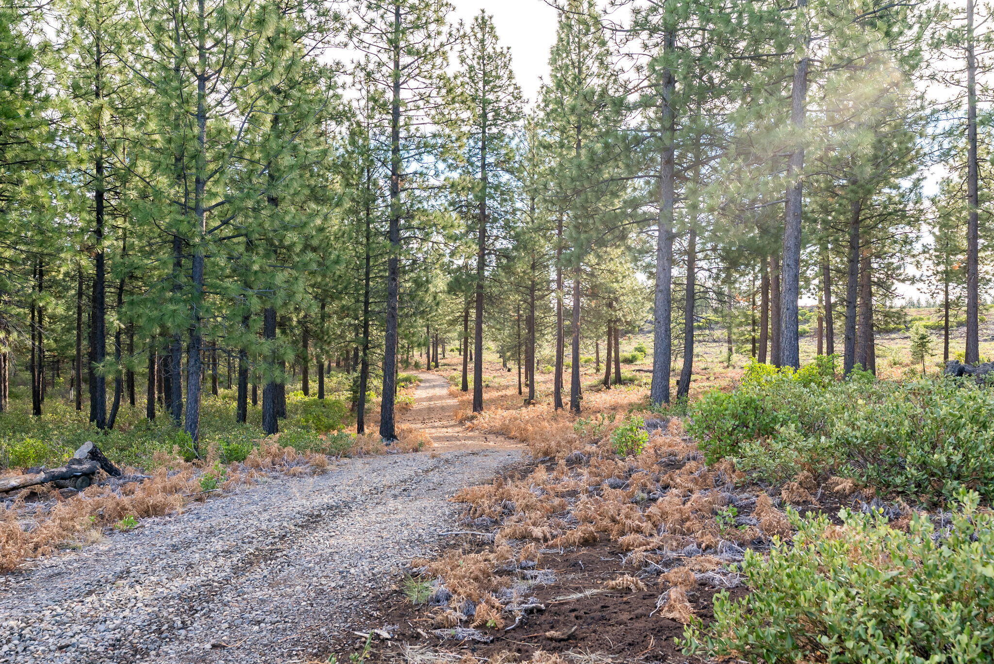 70410 McAllister Road, 2060