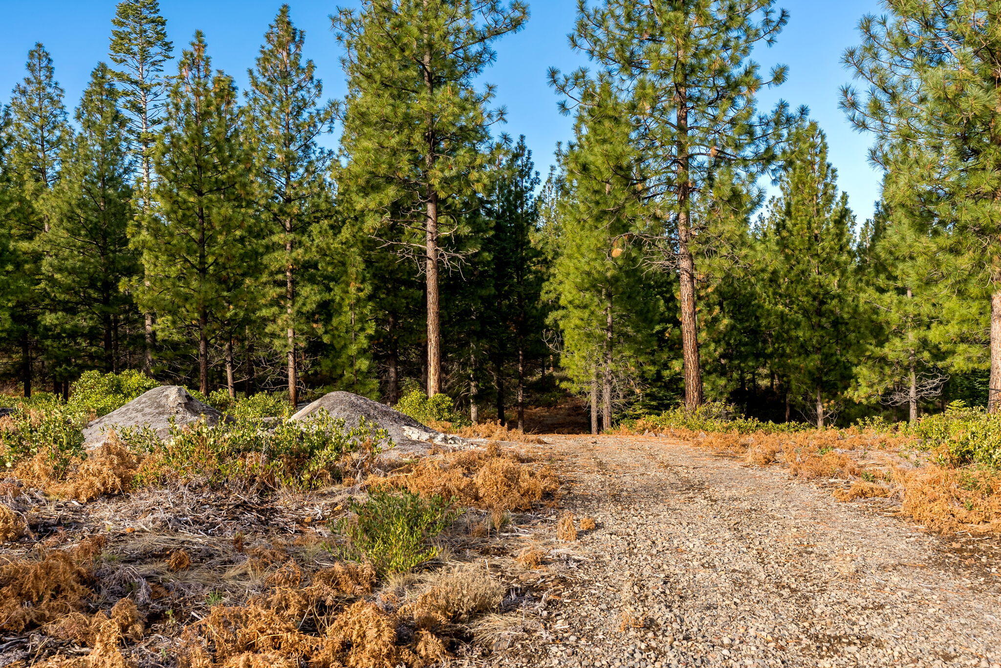 70410 McAllister Road, 2060