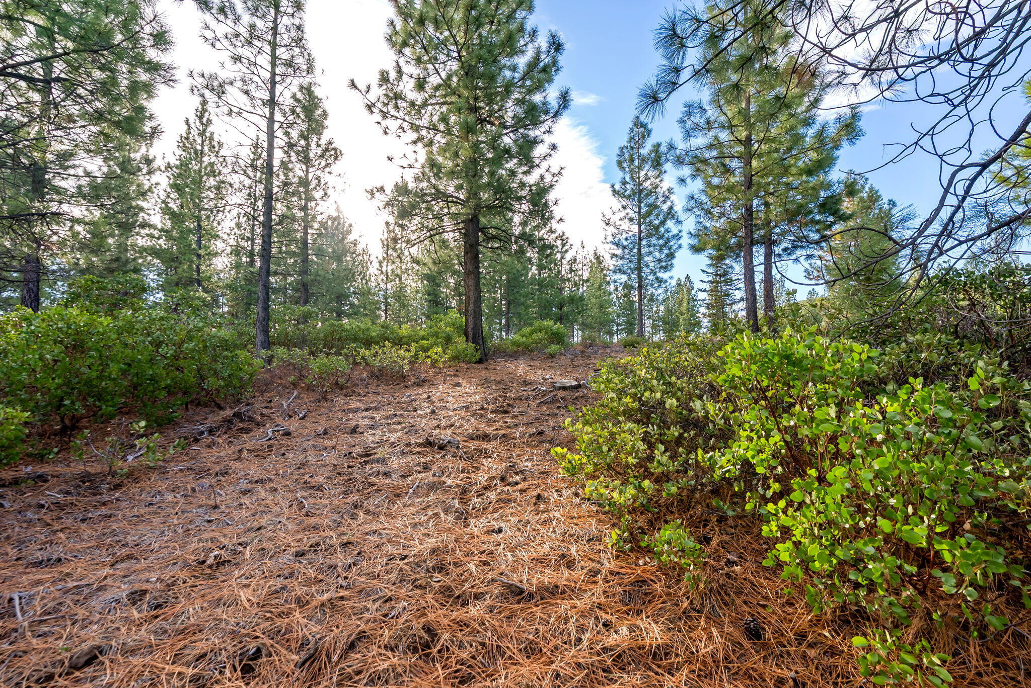 70410 McAllister Road, 2060