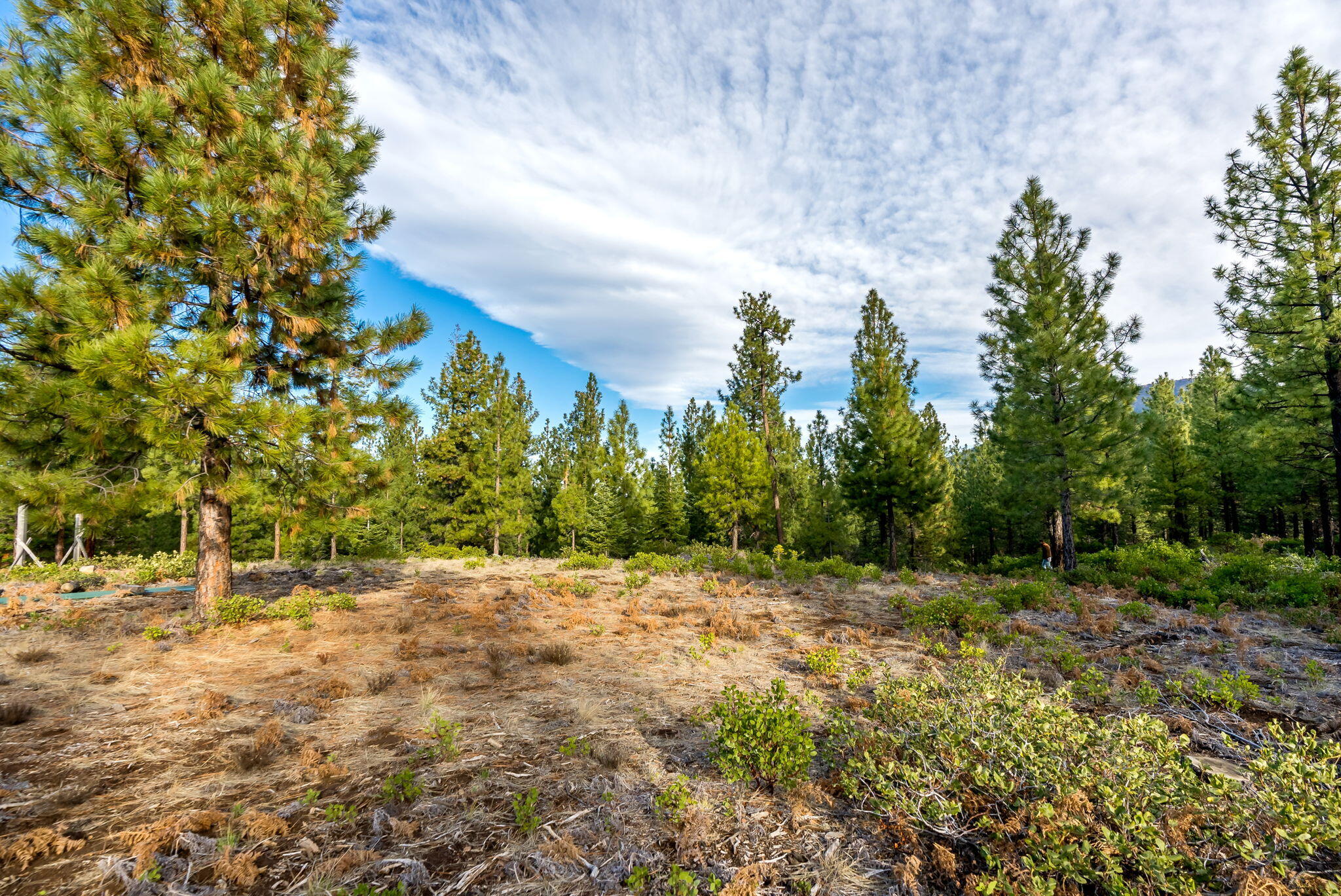 70410 McAllister Road, 2060