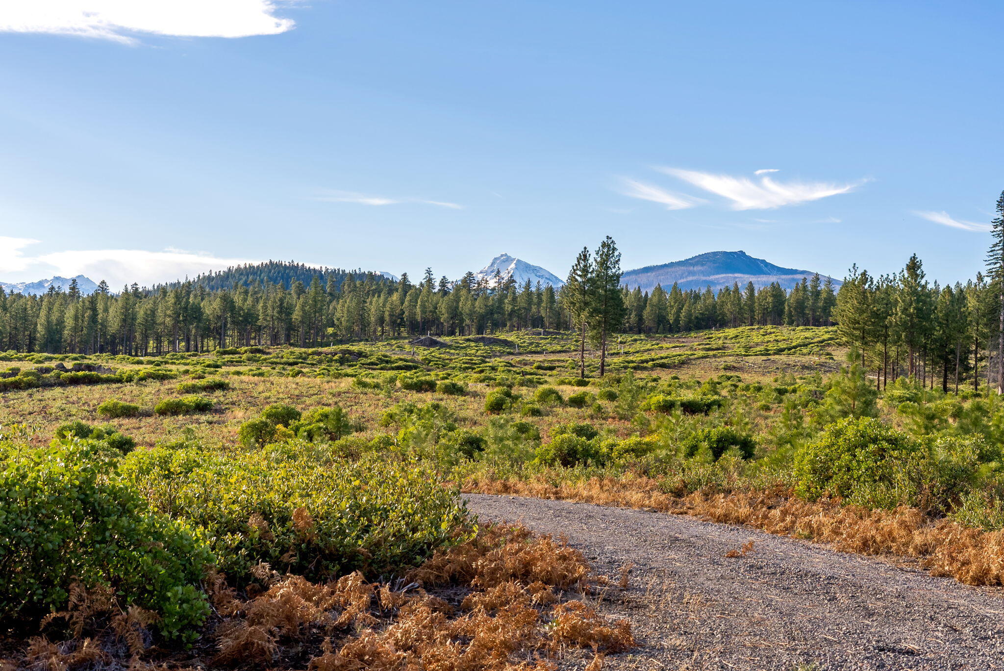 70410 McAllister Road, 2060