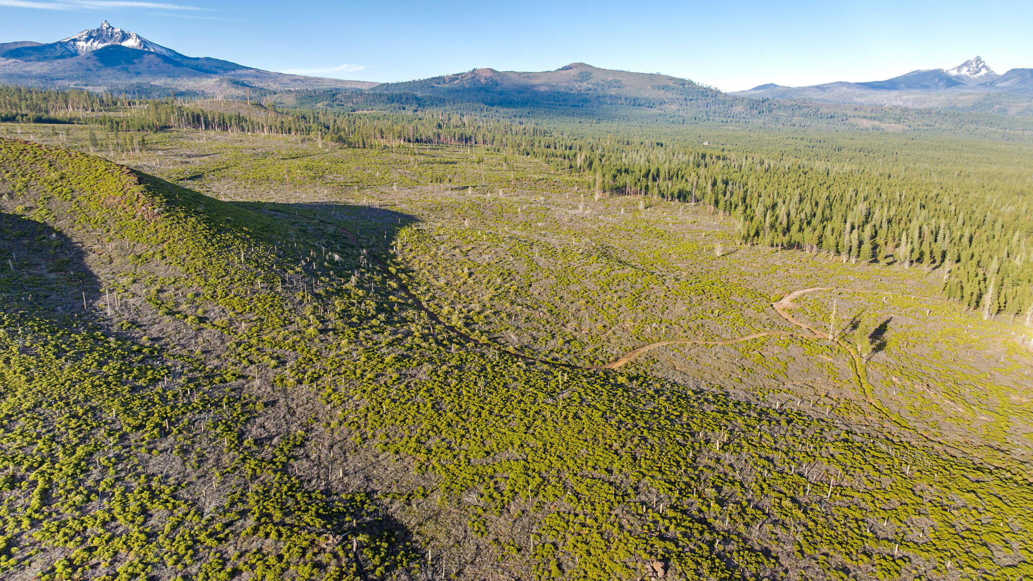 70410 McAllister Road, 2060