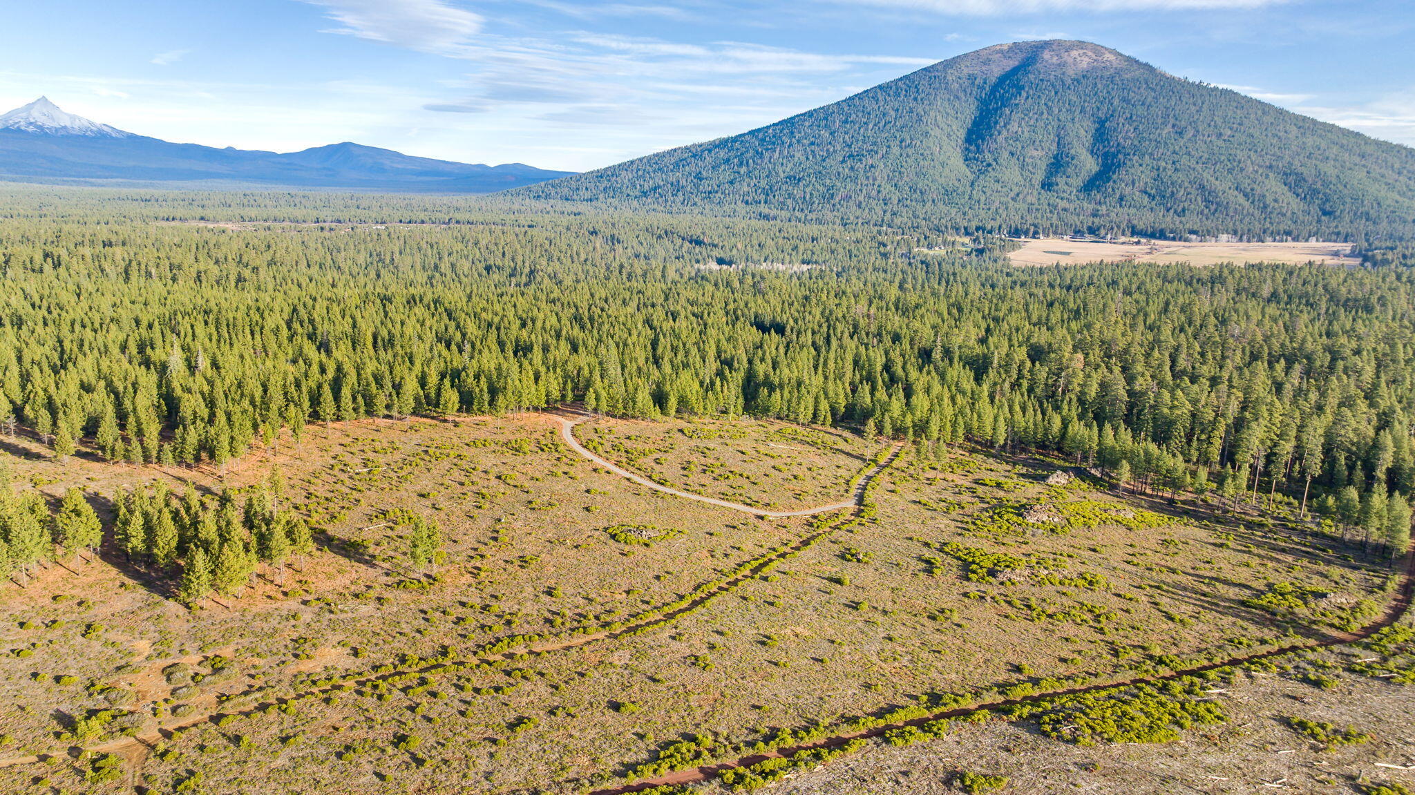 70410 McAllister Road, 2060