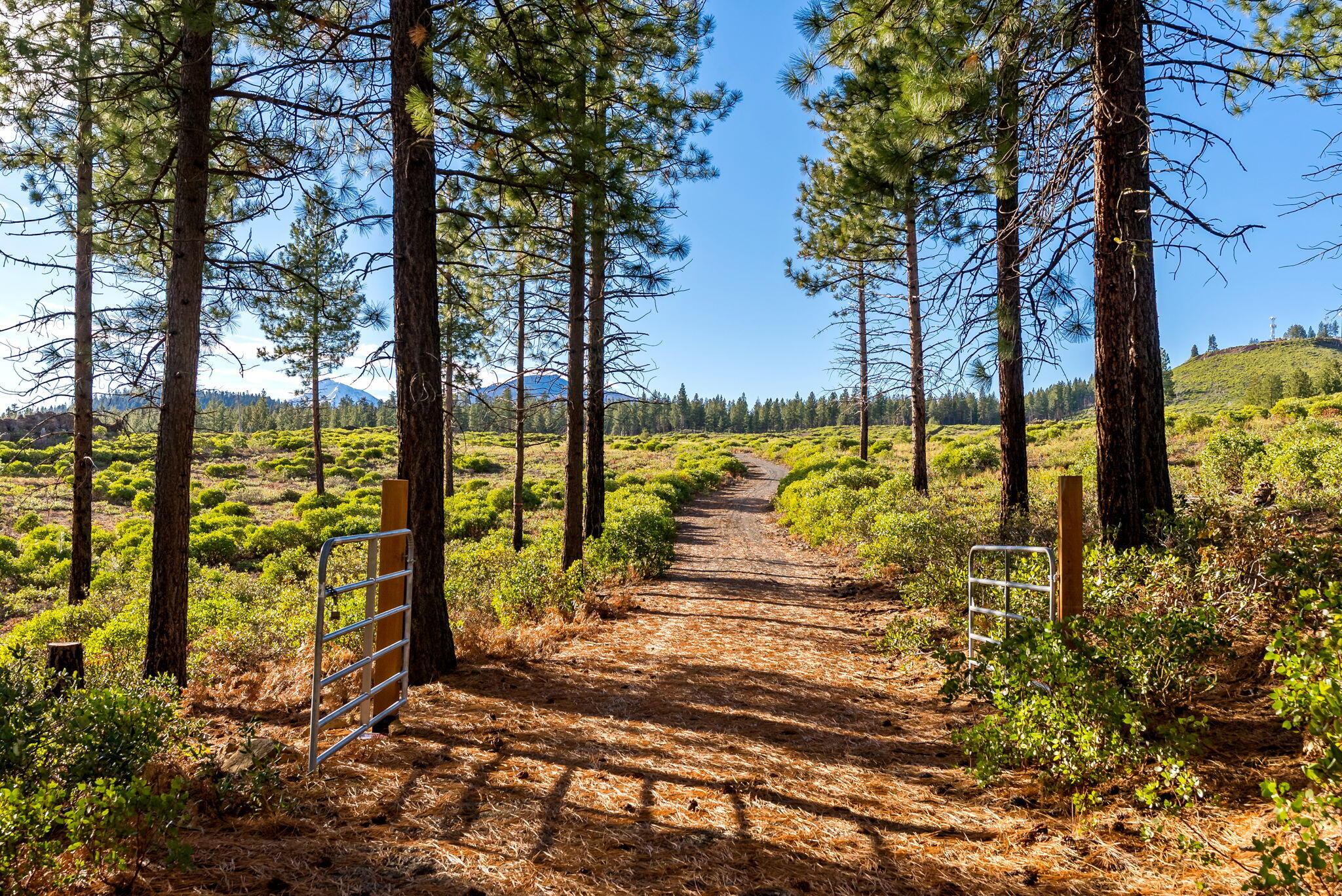 70410 McAllister Road, 2060