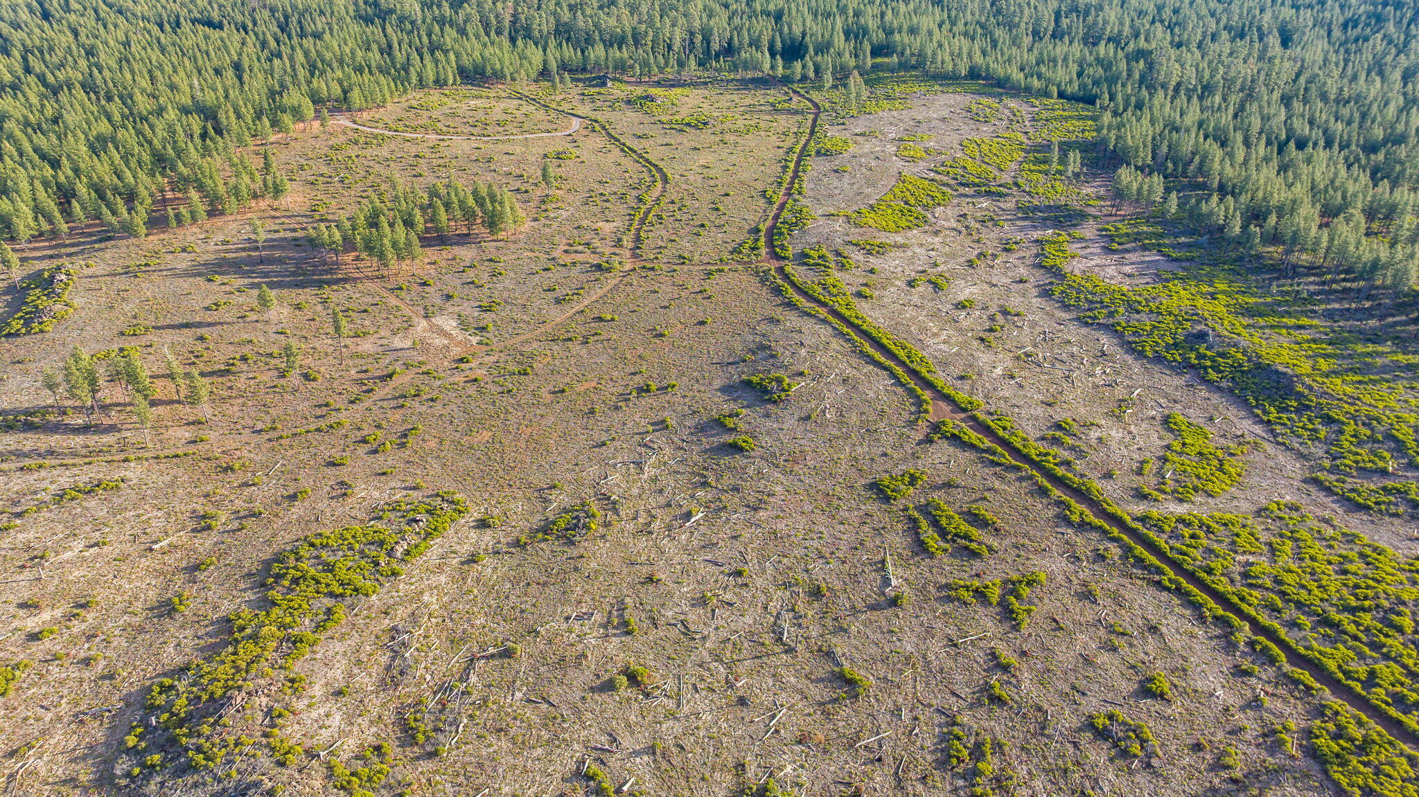 70410 McAllister Road, 2060