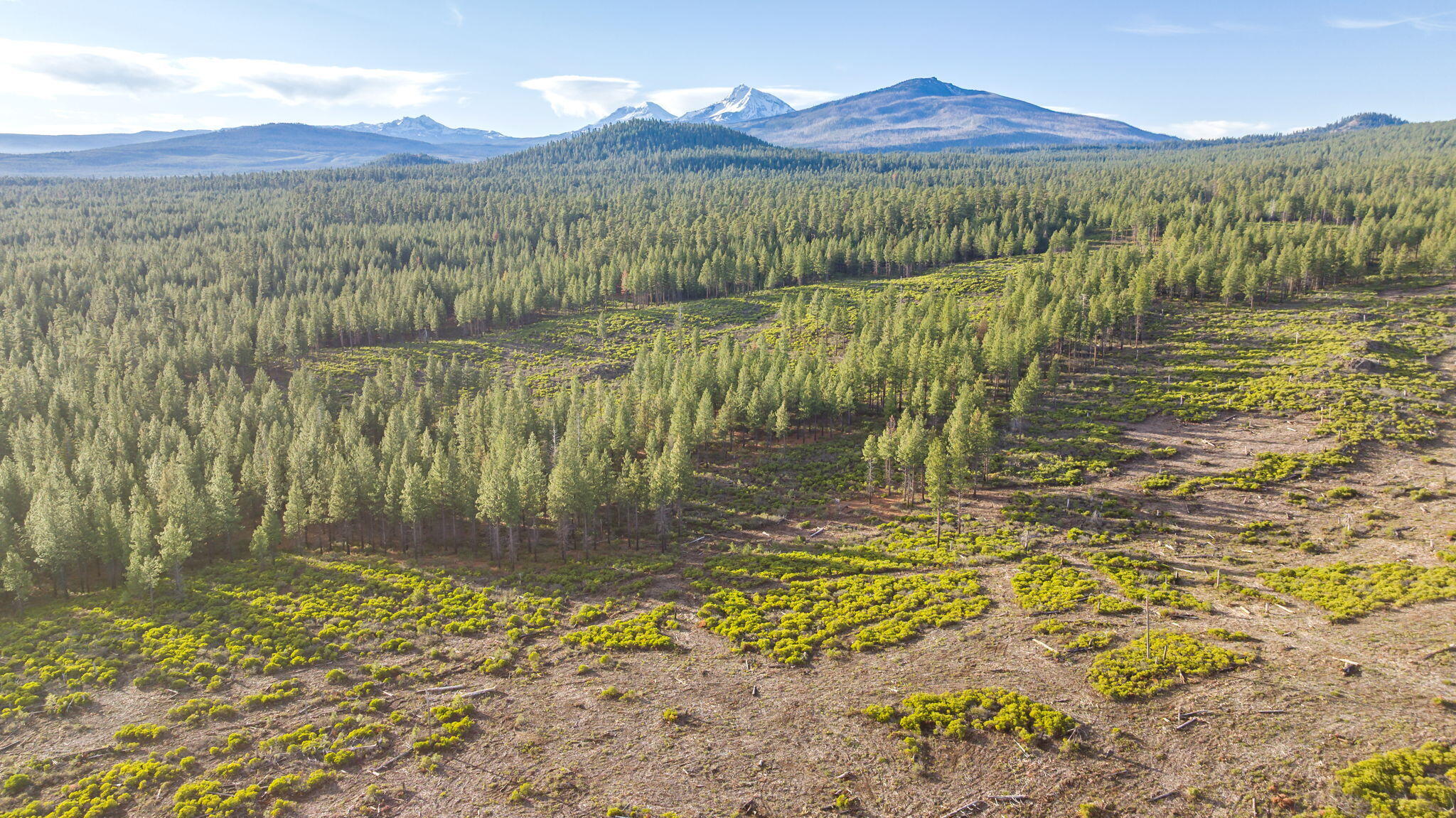 70410 McAllister Road, 2060