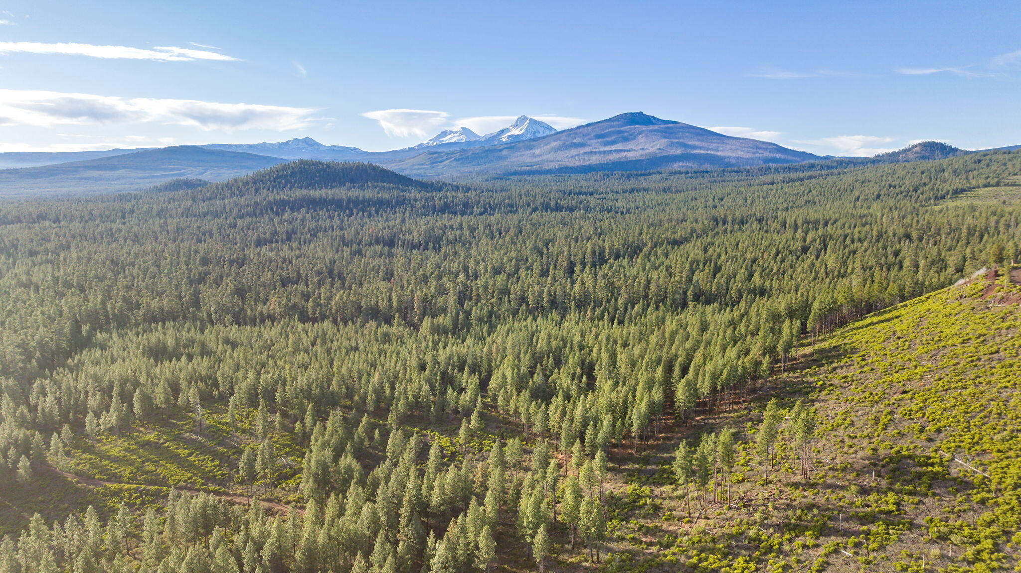 70410 McAllister Road, 2060