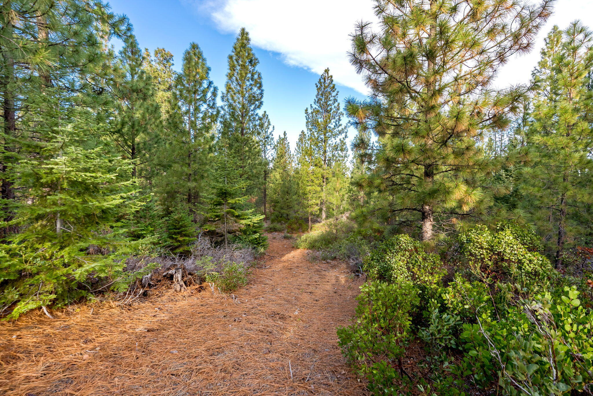 70410 McAllister Road, 2060