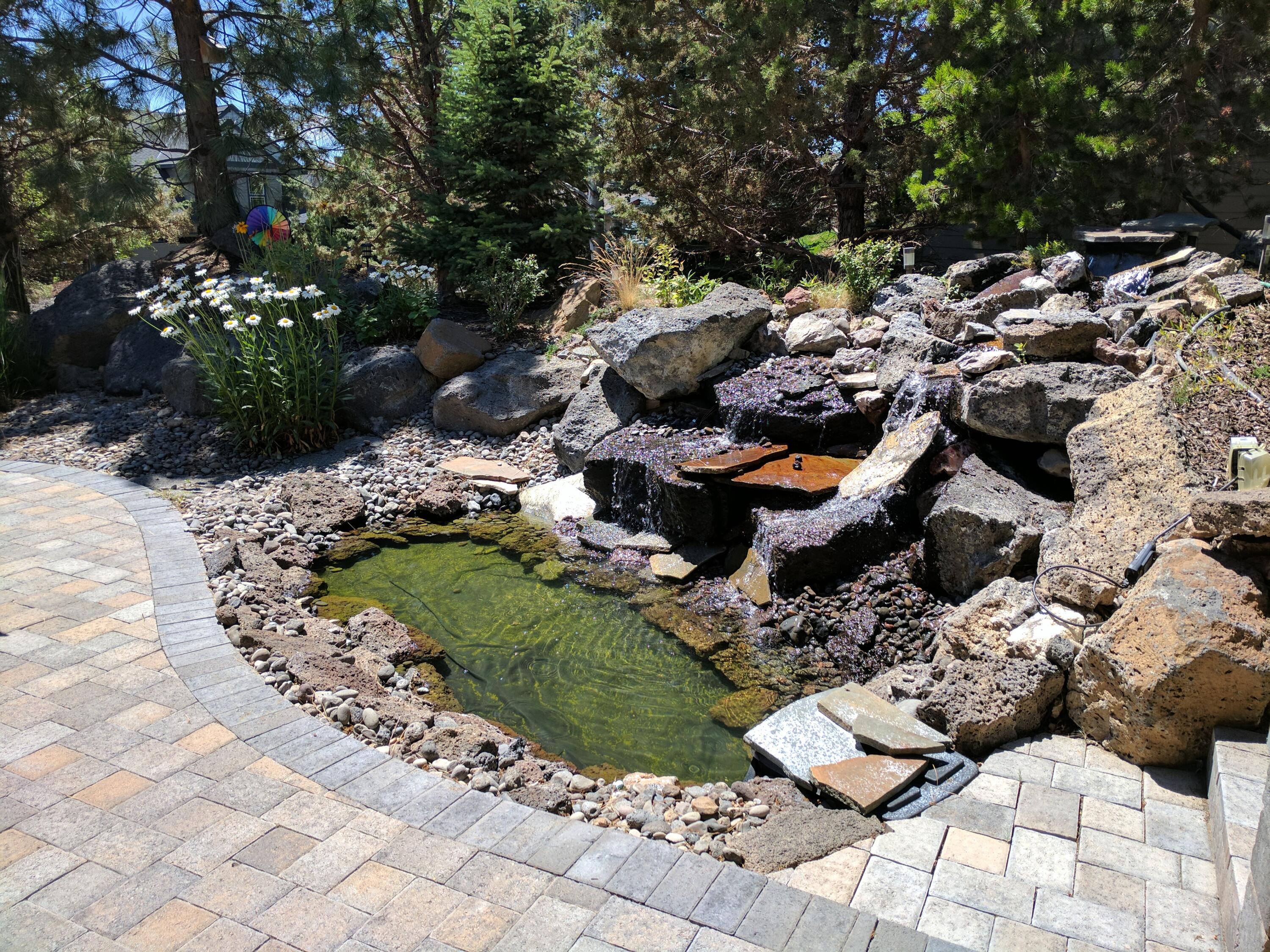 1895 Murrelet Drive