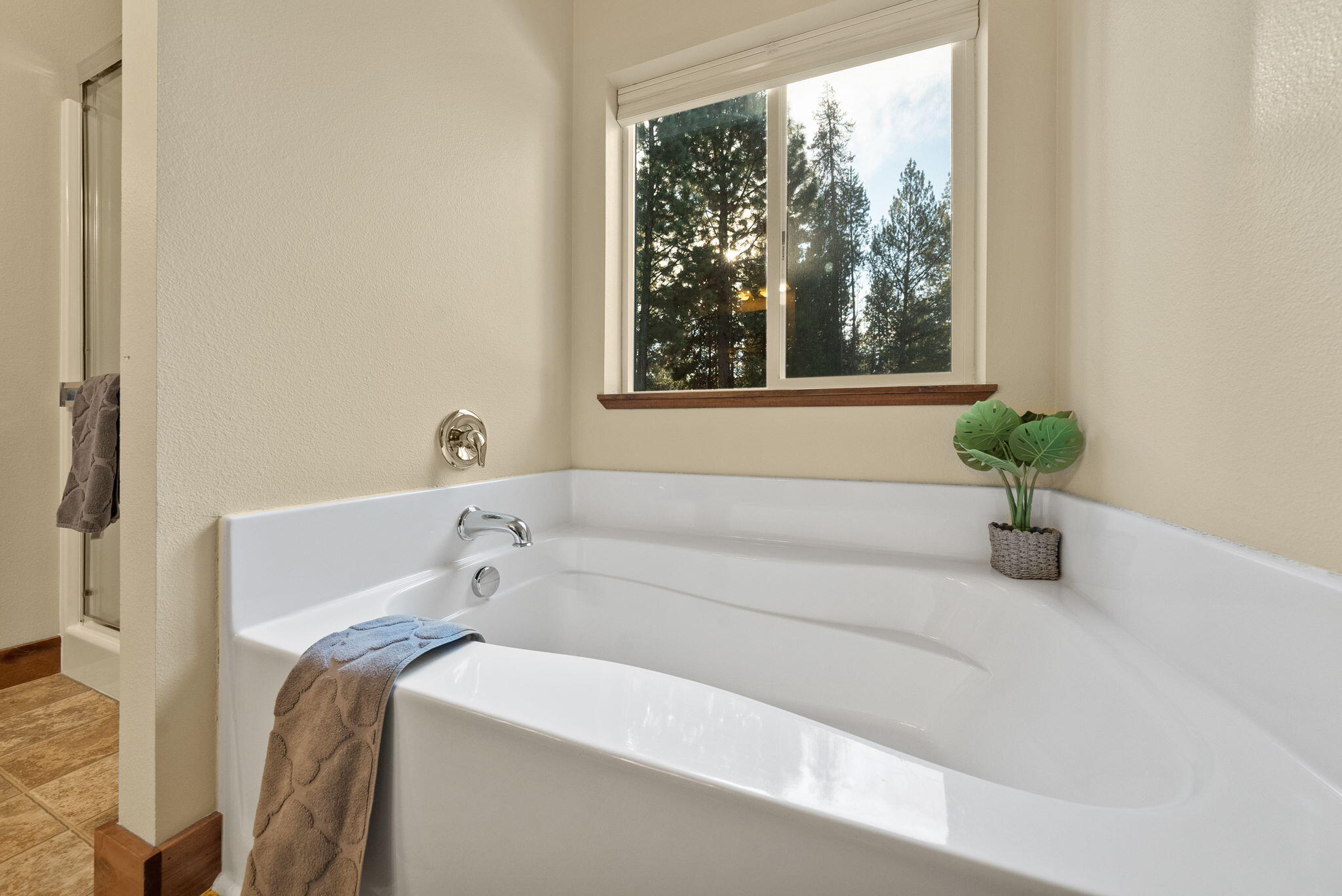 56058 Snow Goose Road