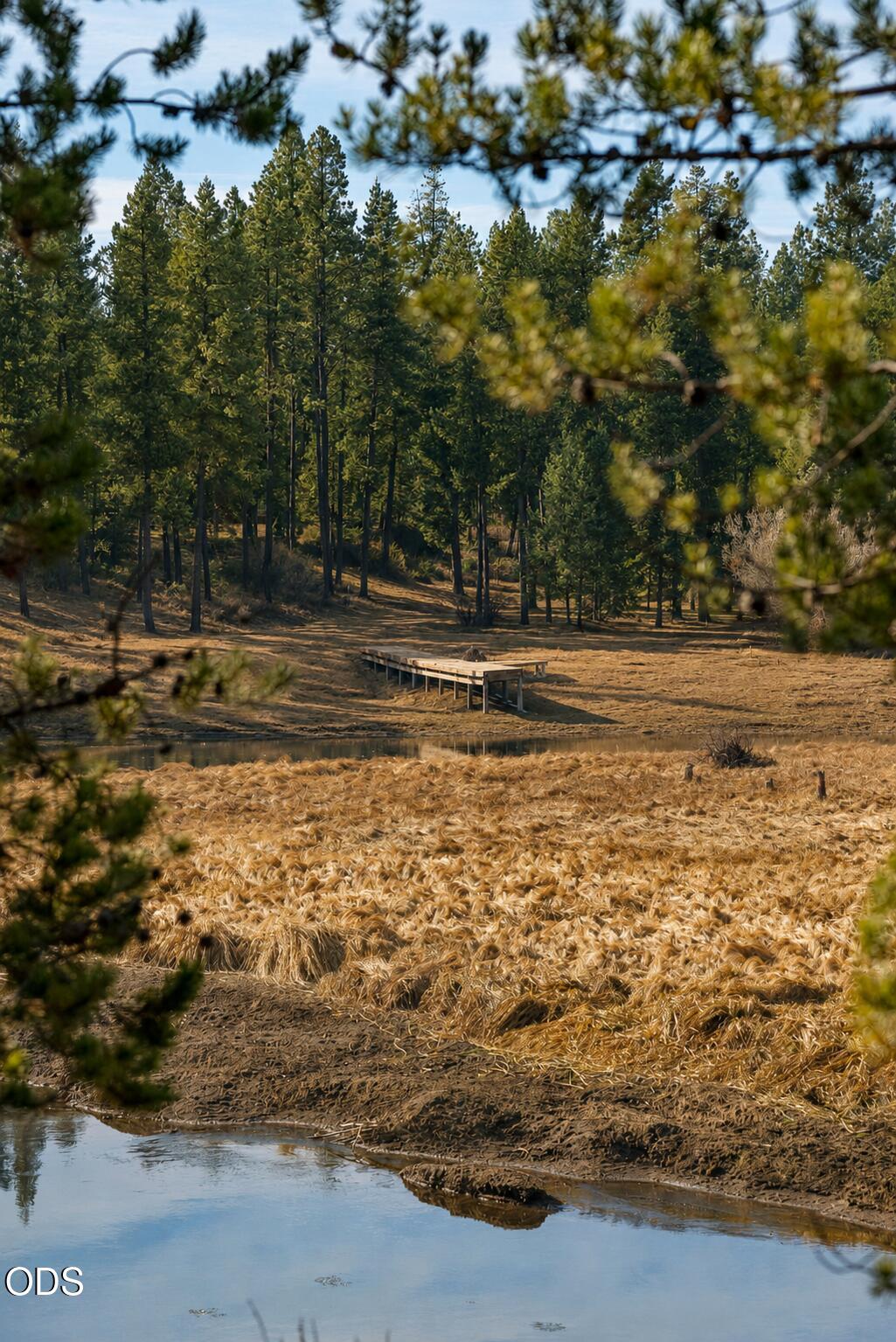 56058 Snow Goose Road