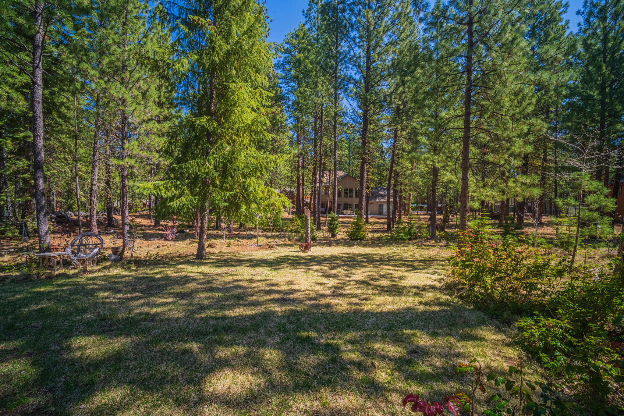 70684 Steeple Bush, SM 153
