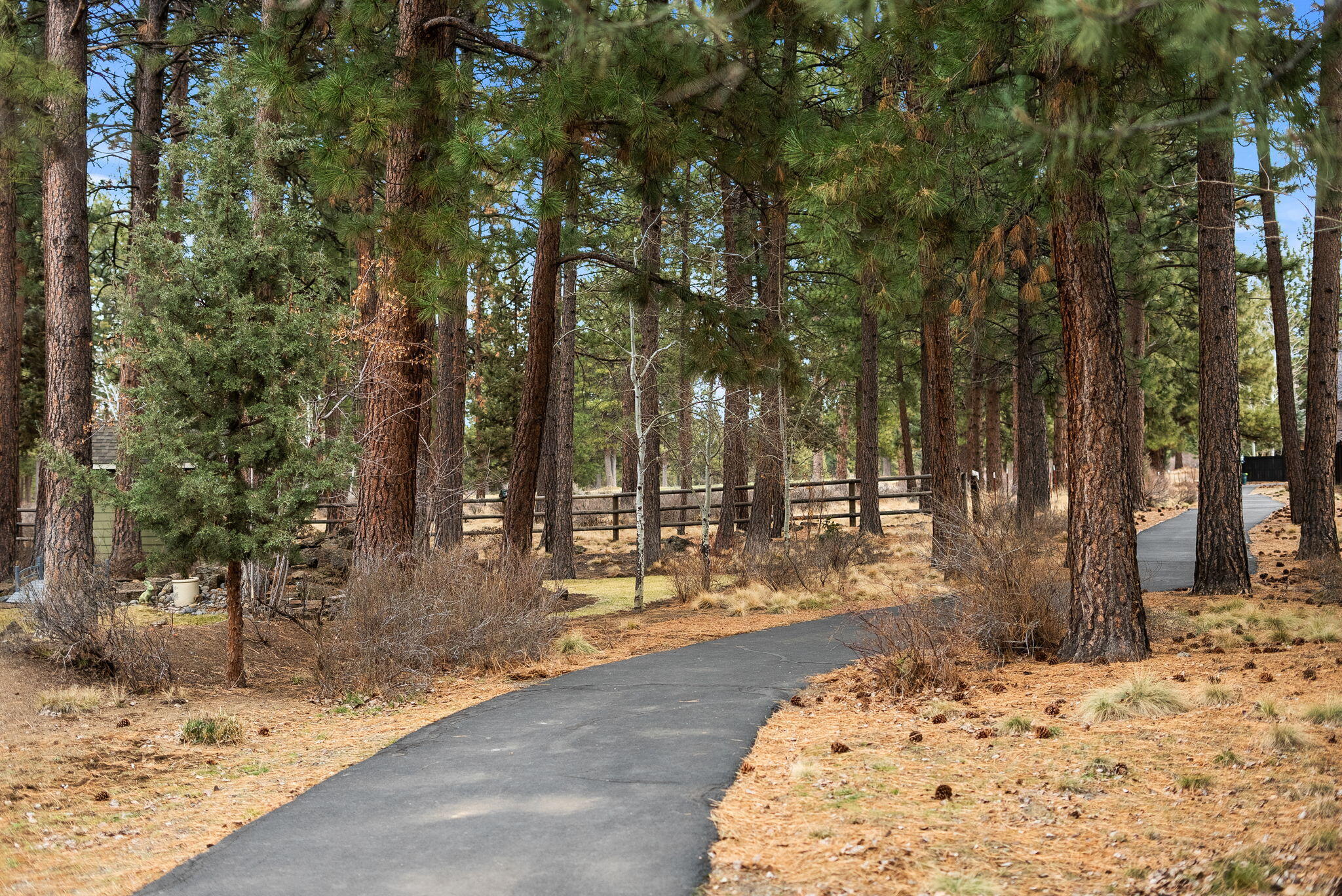 20106 Stonegate Drive