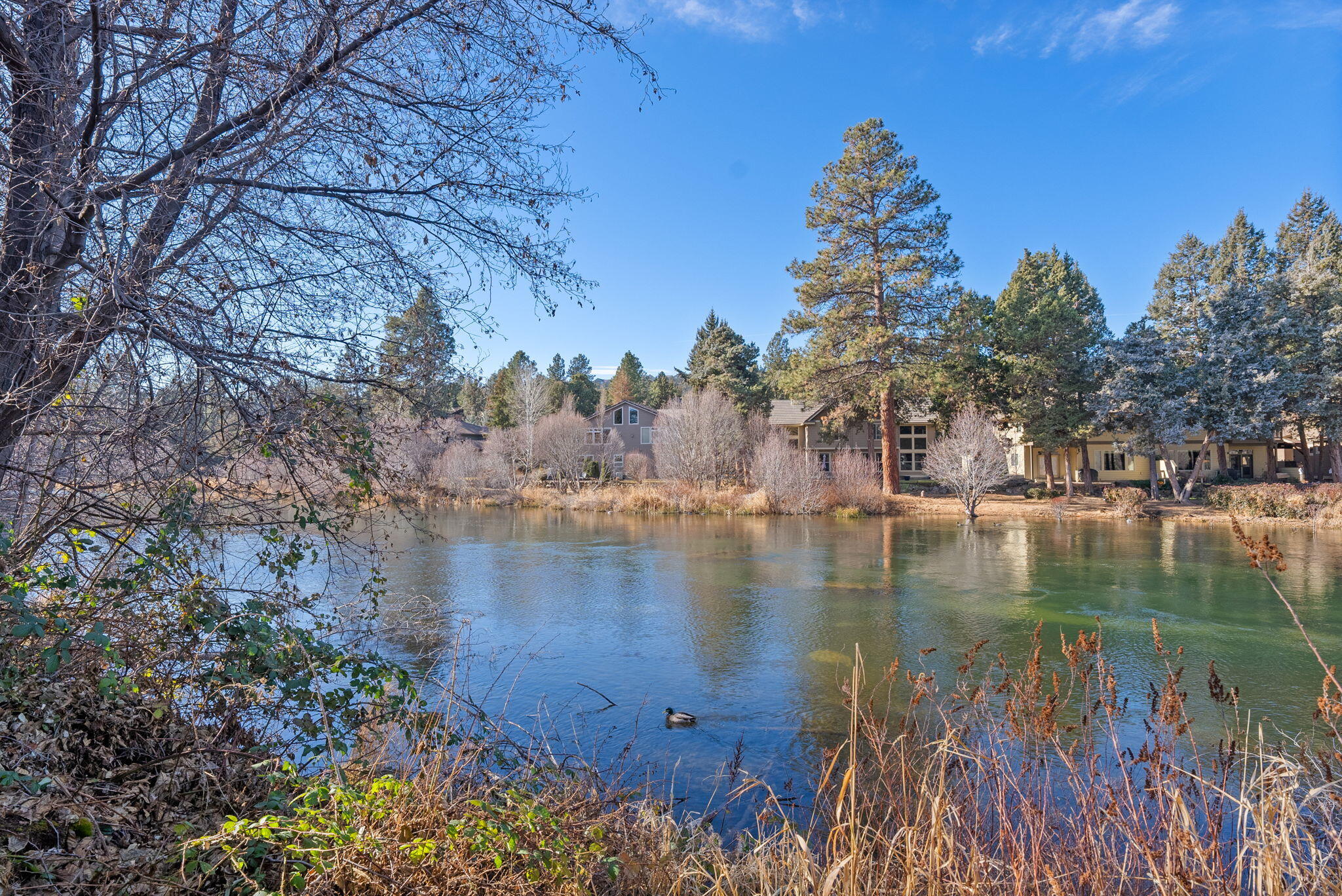 3105 O. B. Riley Road