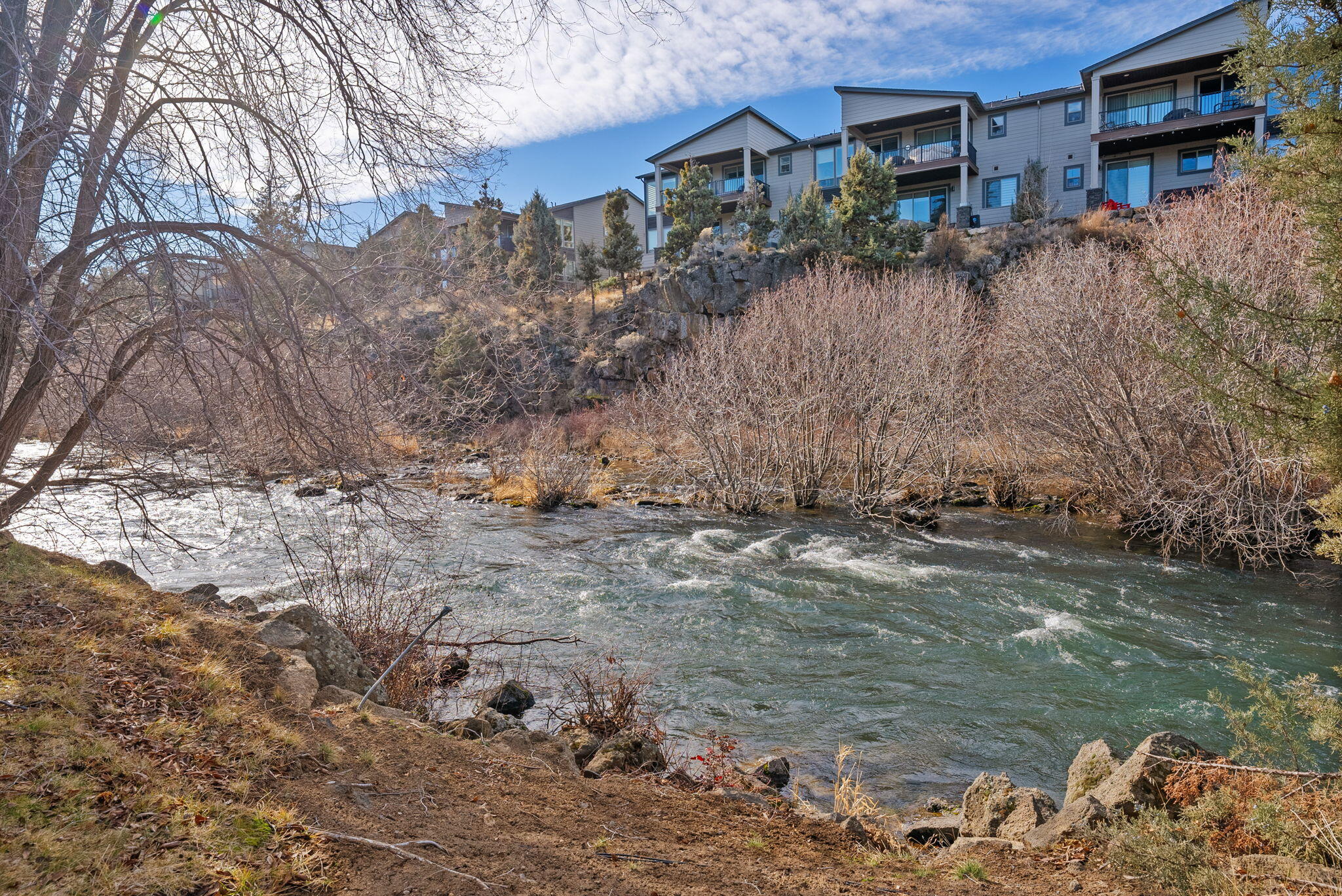 3105 O. B. Riley Road