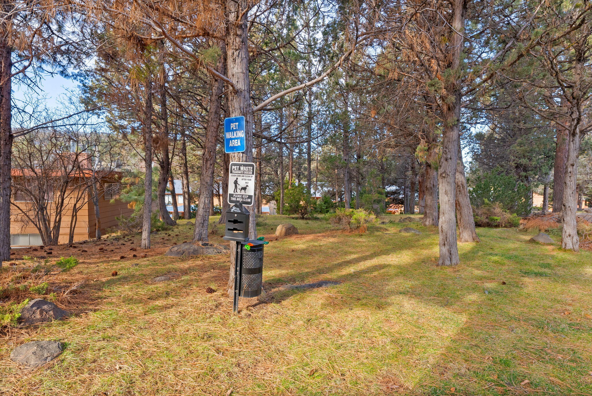 3105 O. B. Riley Road