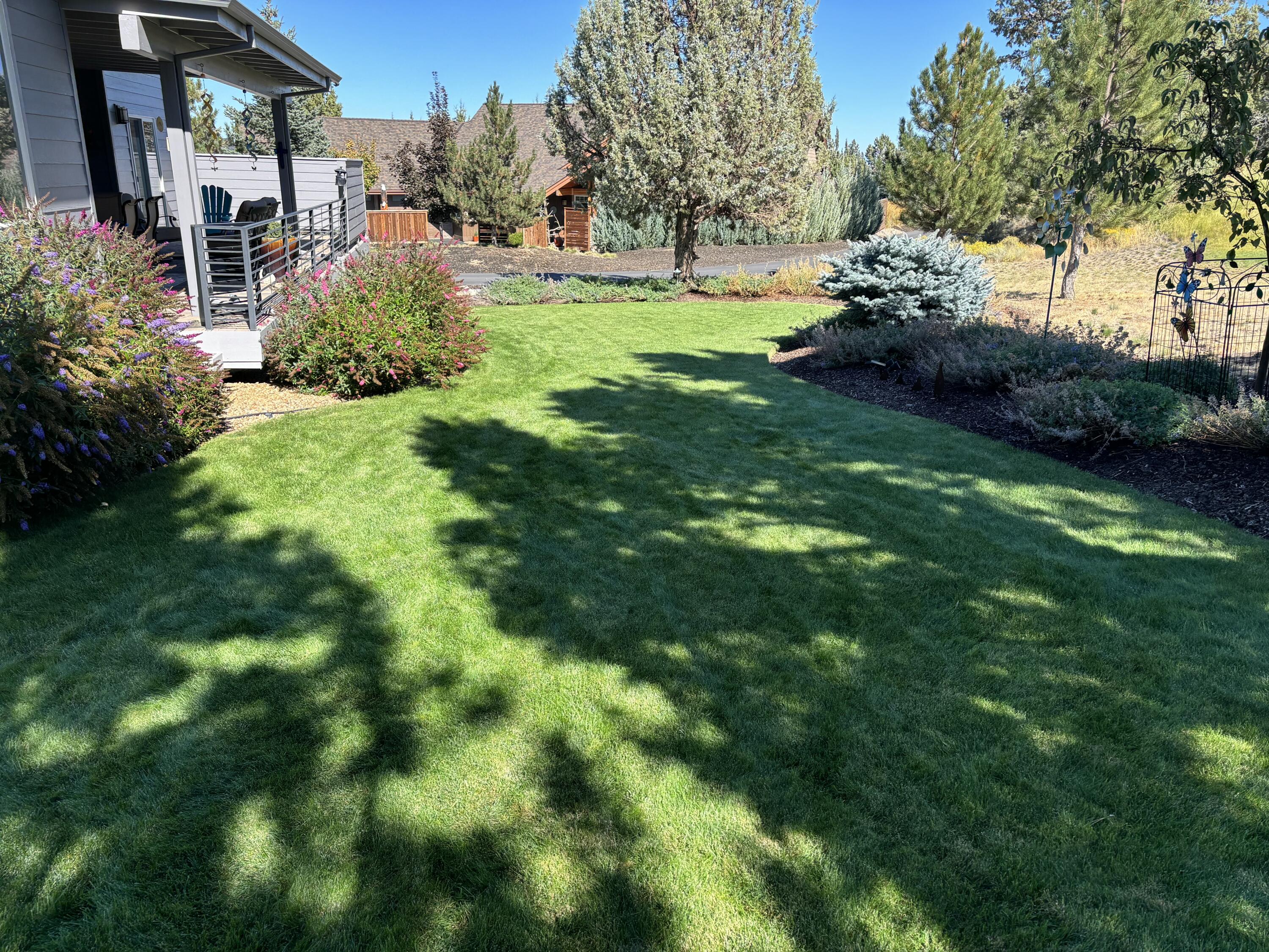 890 Cinnamon Teal Drive
