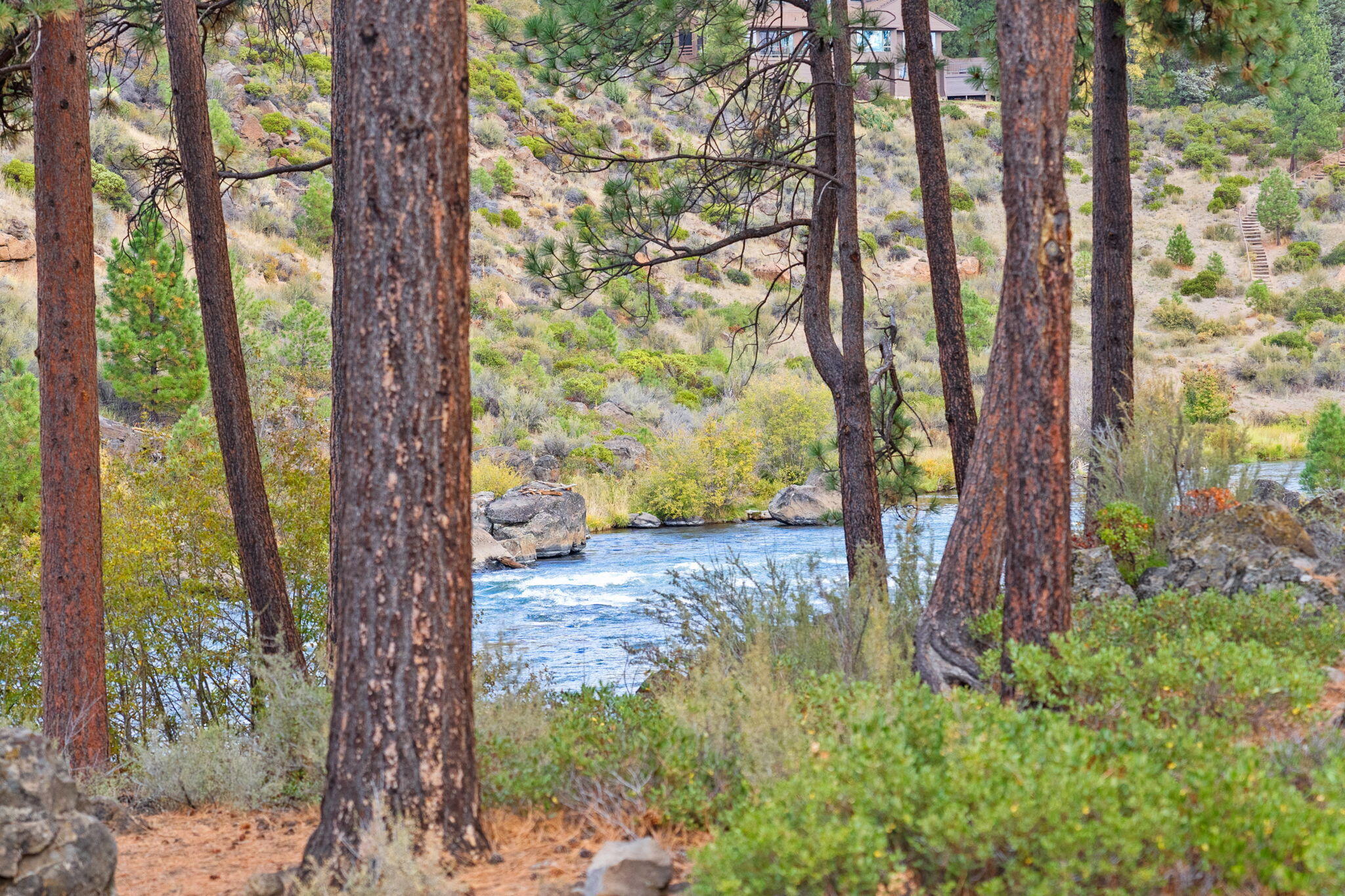 60882 SW Headwaters Loop